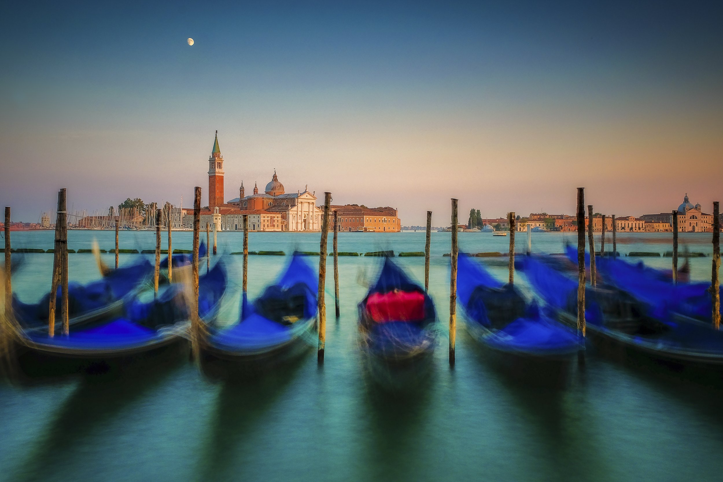 75. Venice - Tony Murray.JPG