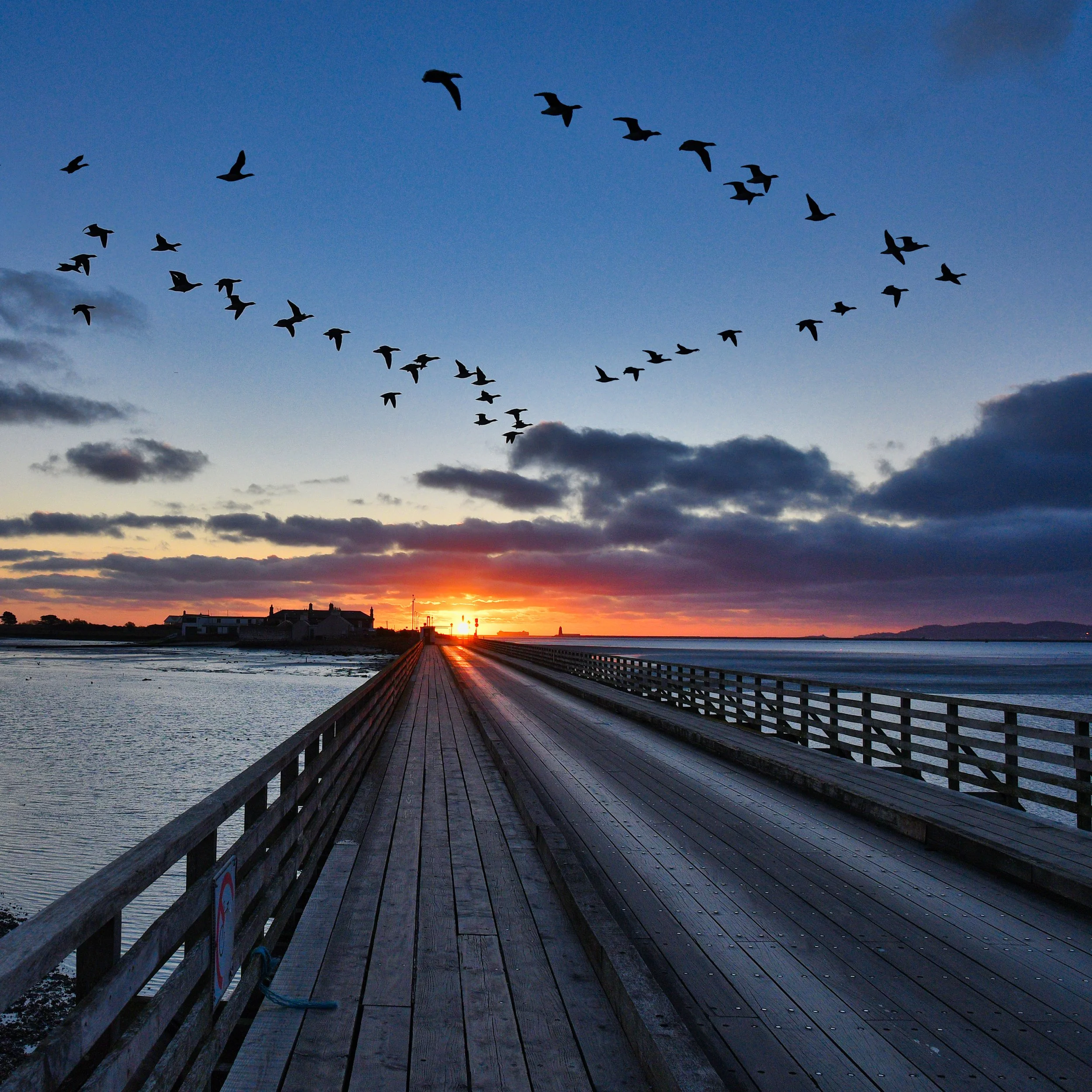 P062-December Sunrise-Lustre-NoAdj.jpg