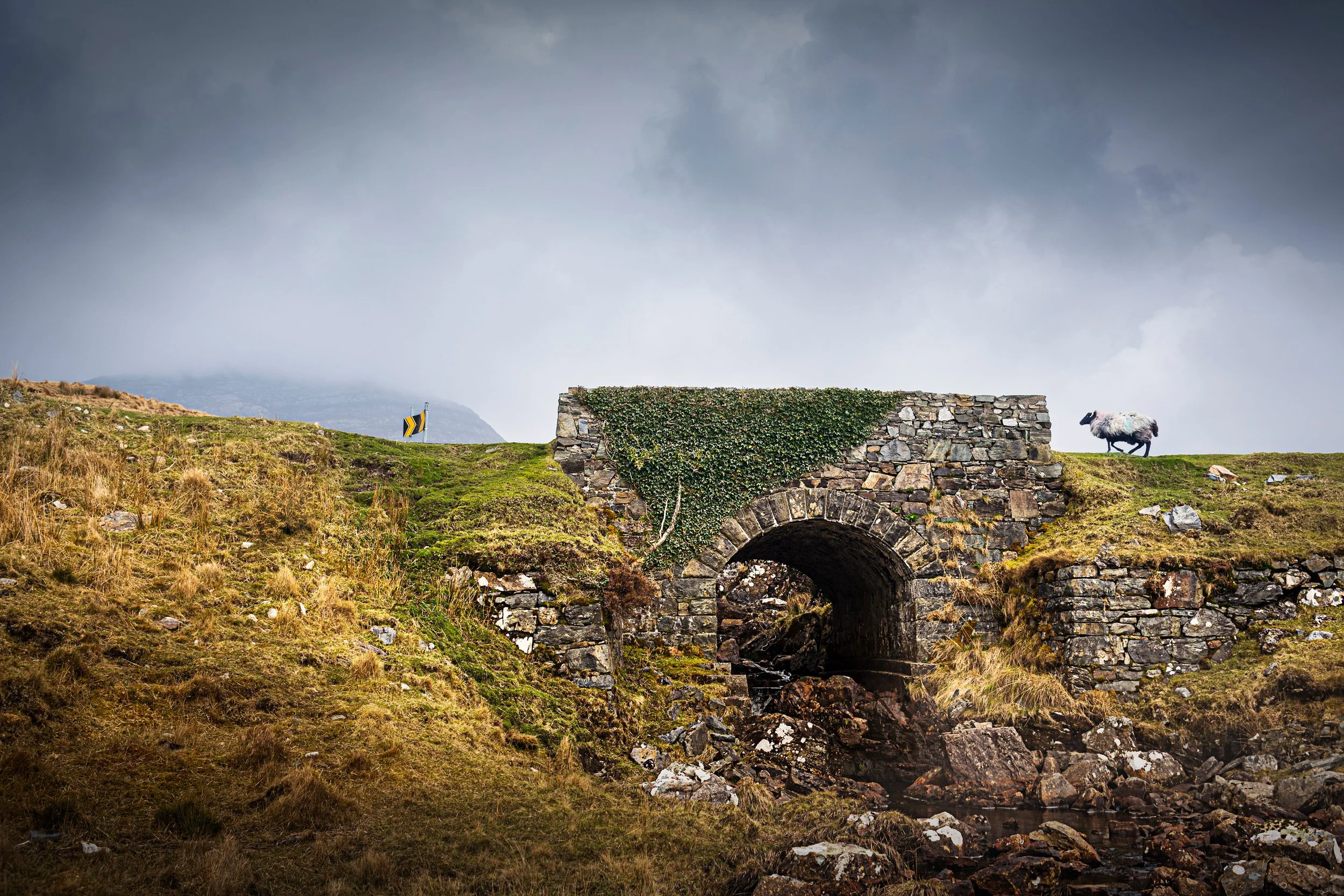 P042-Ewe will cross that bridge!-FineArt-NoAdj.jpg