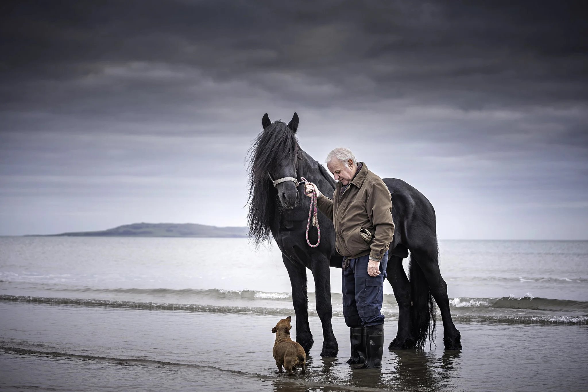 P055-Black Beauty-no printing required.jpg