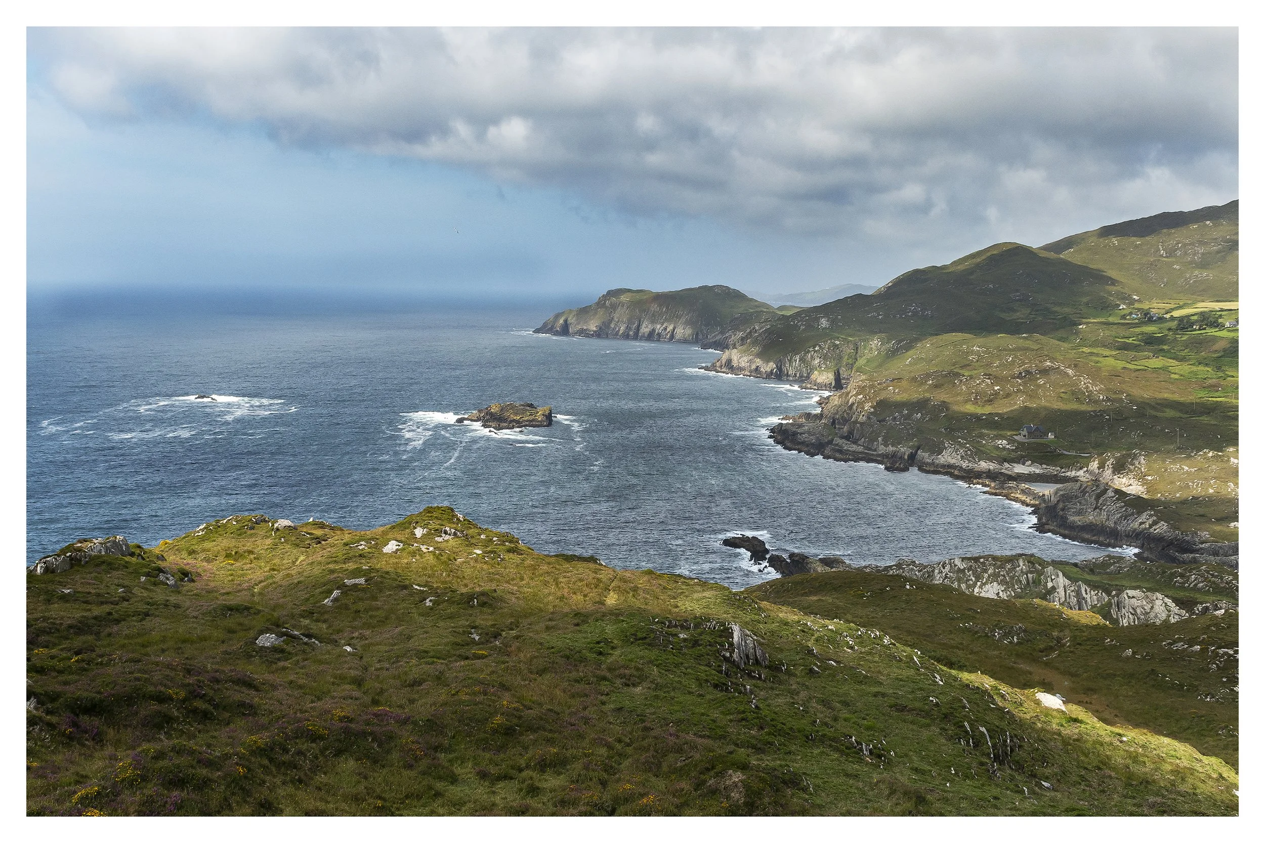 25. Irish Summer - Will Rooney.JPG