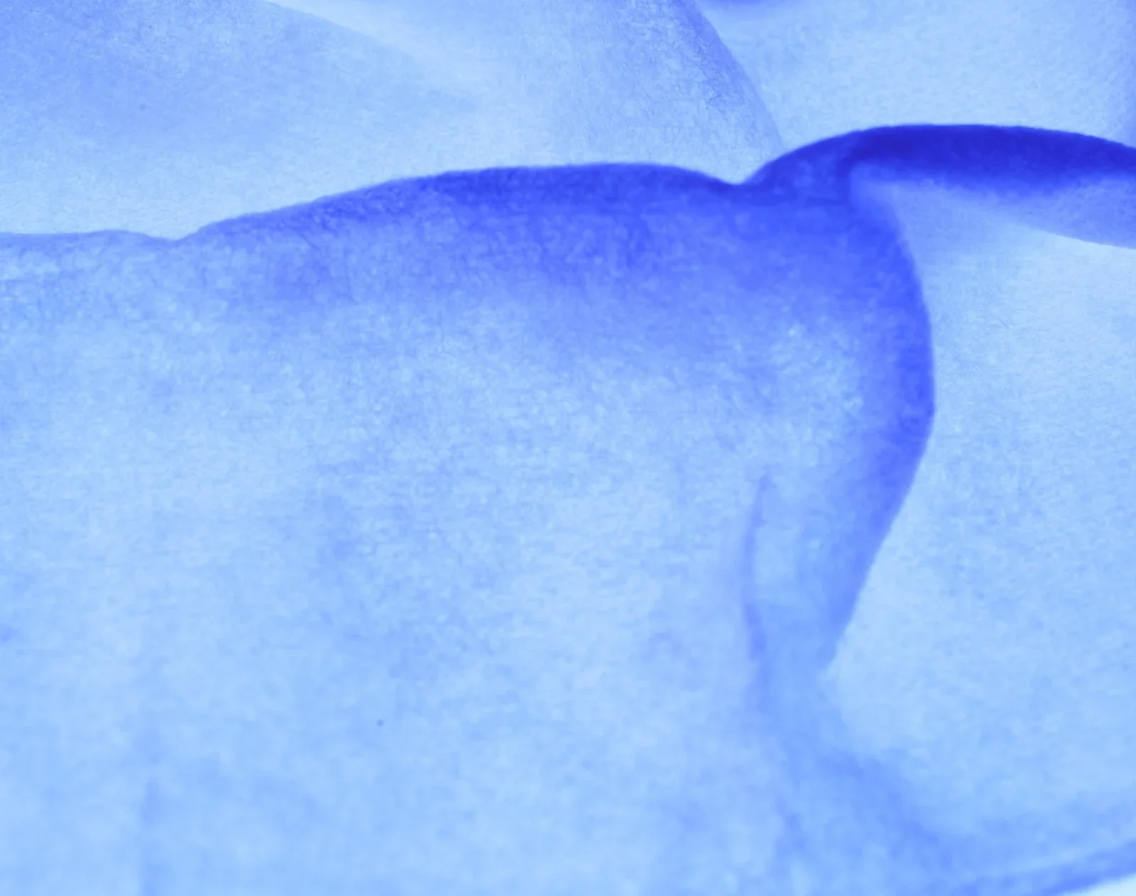 active-peel-system-4803204.webp