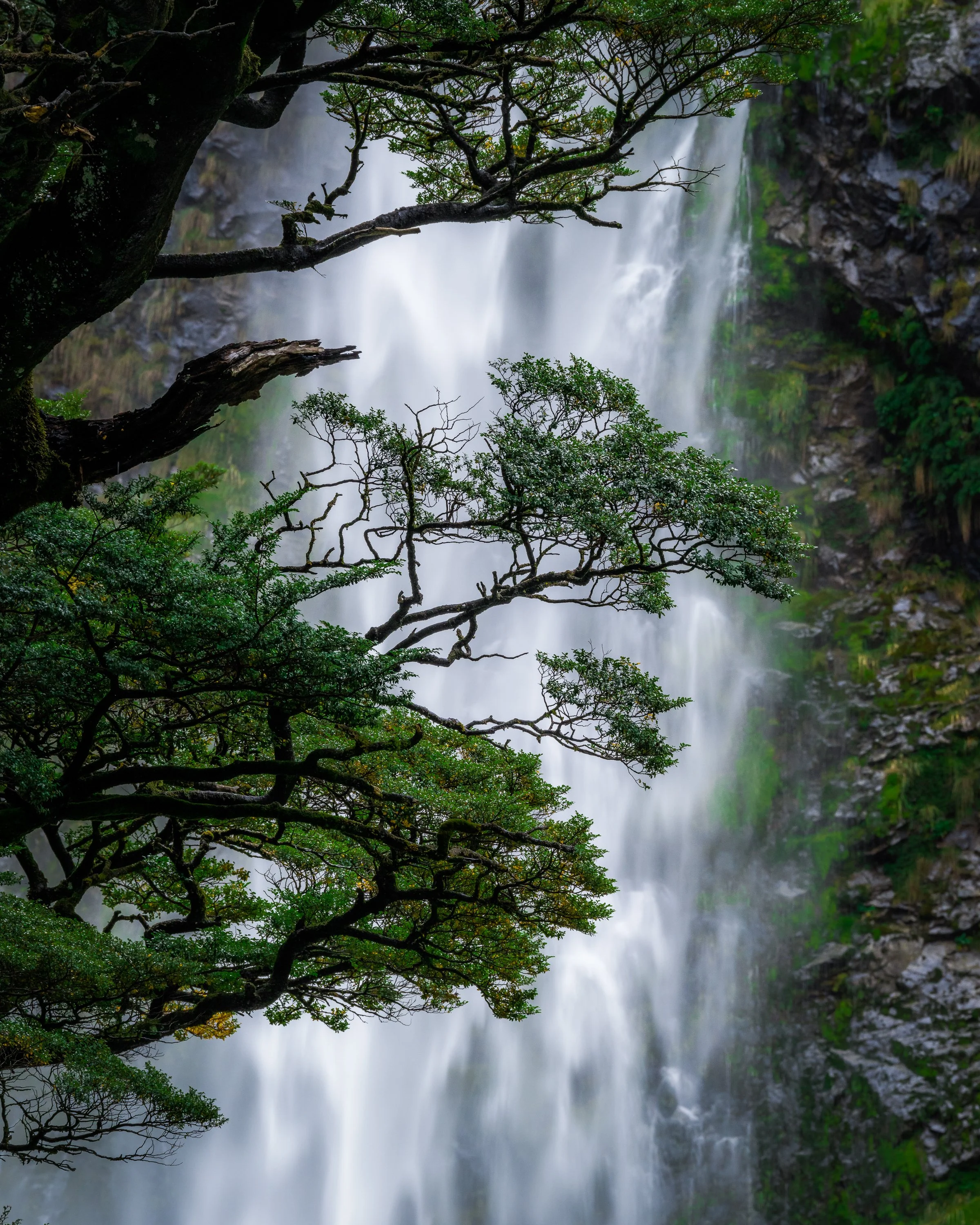 New Zealand-3.jpg