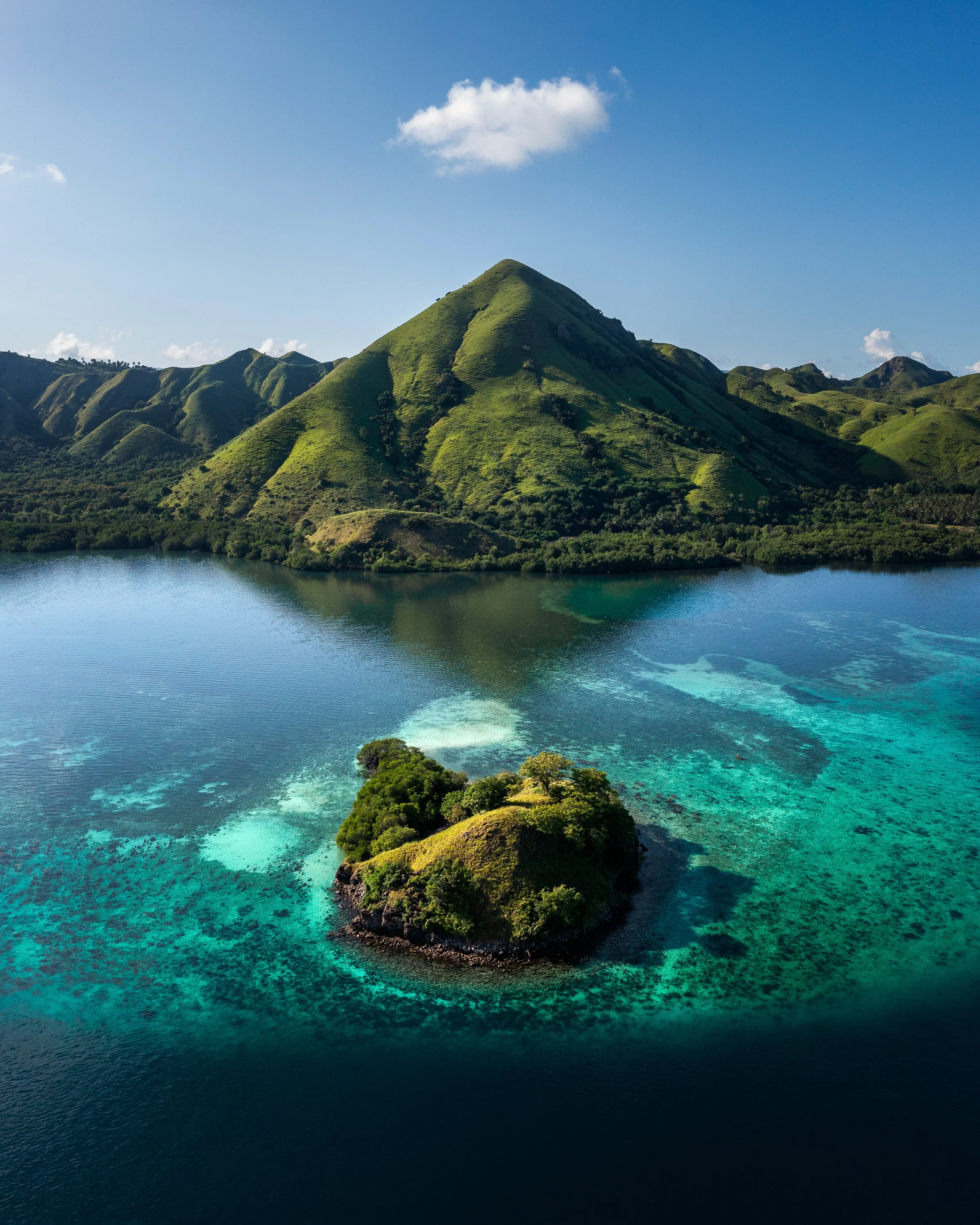 Komodo-1.jpg