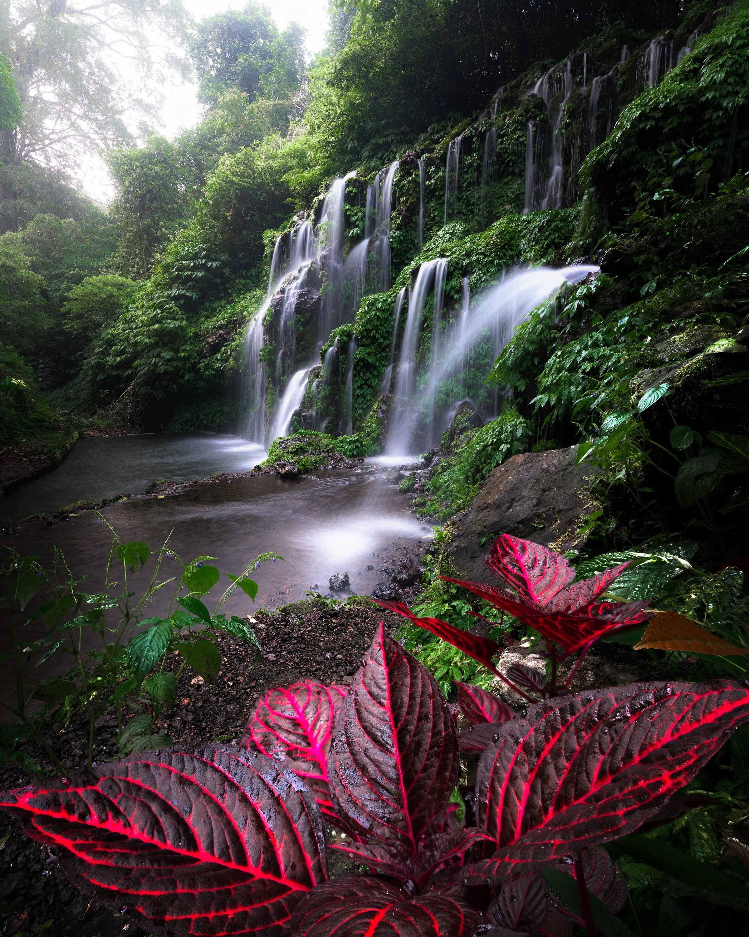 BALI_2022-2.jpg