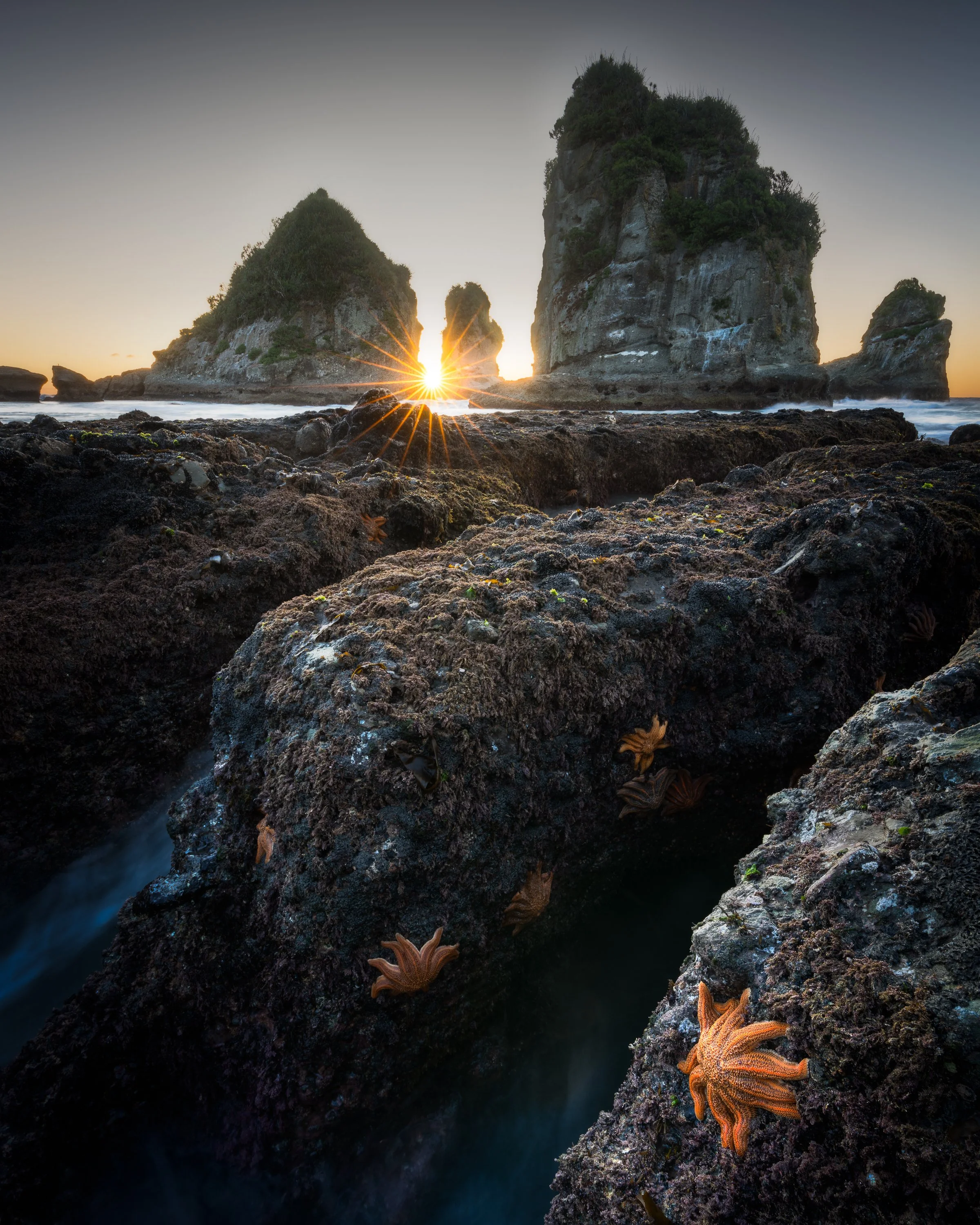 New Zealand-4.jpg