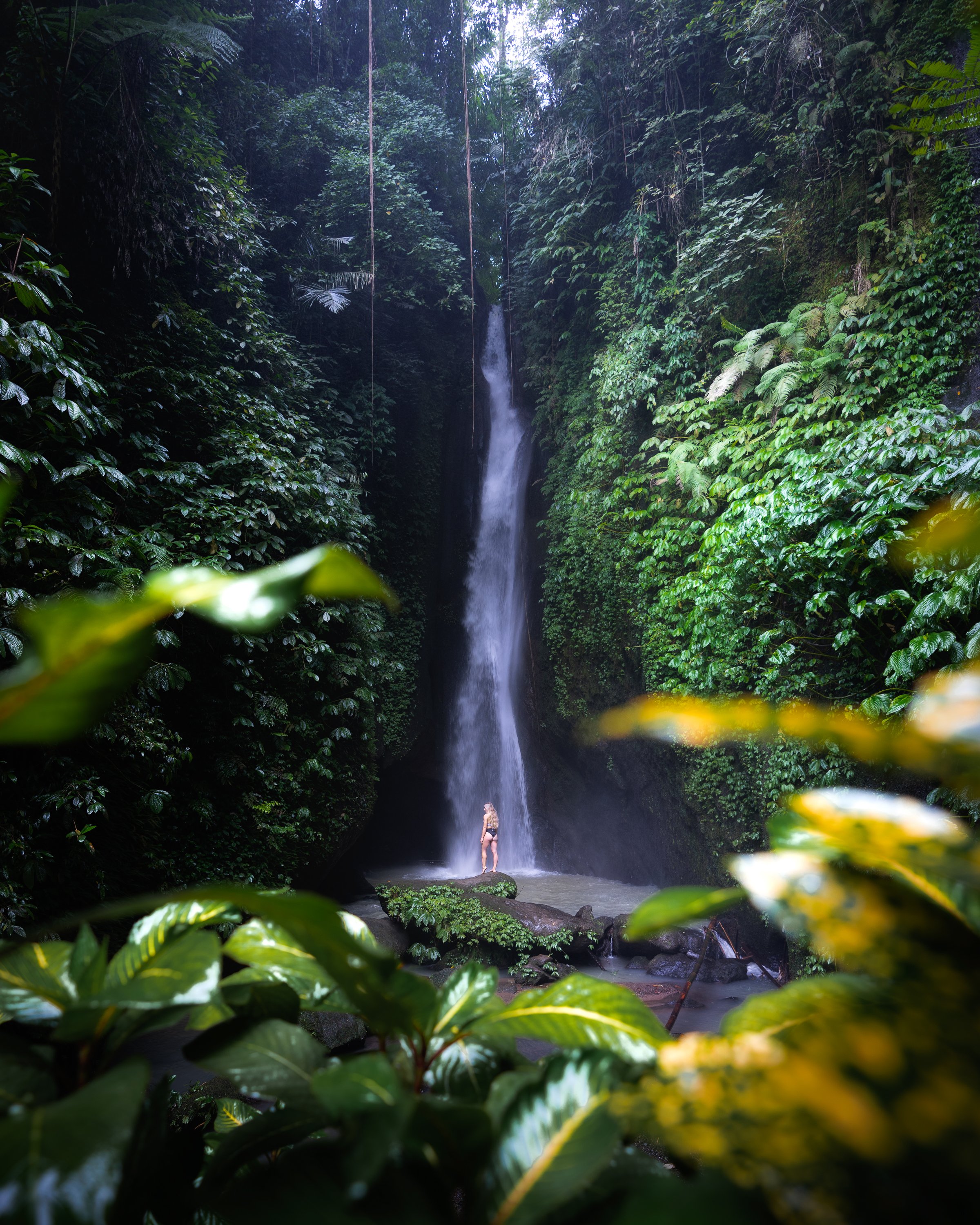 BALI_2022-1.jpg
