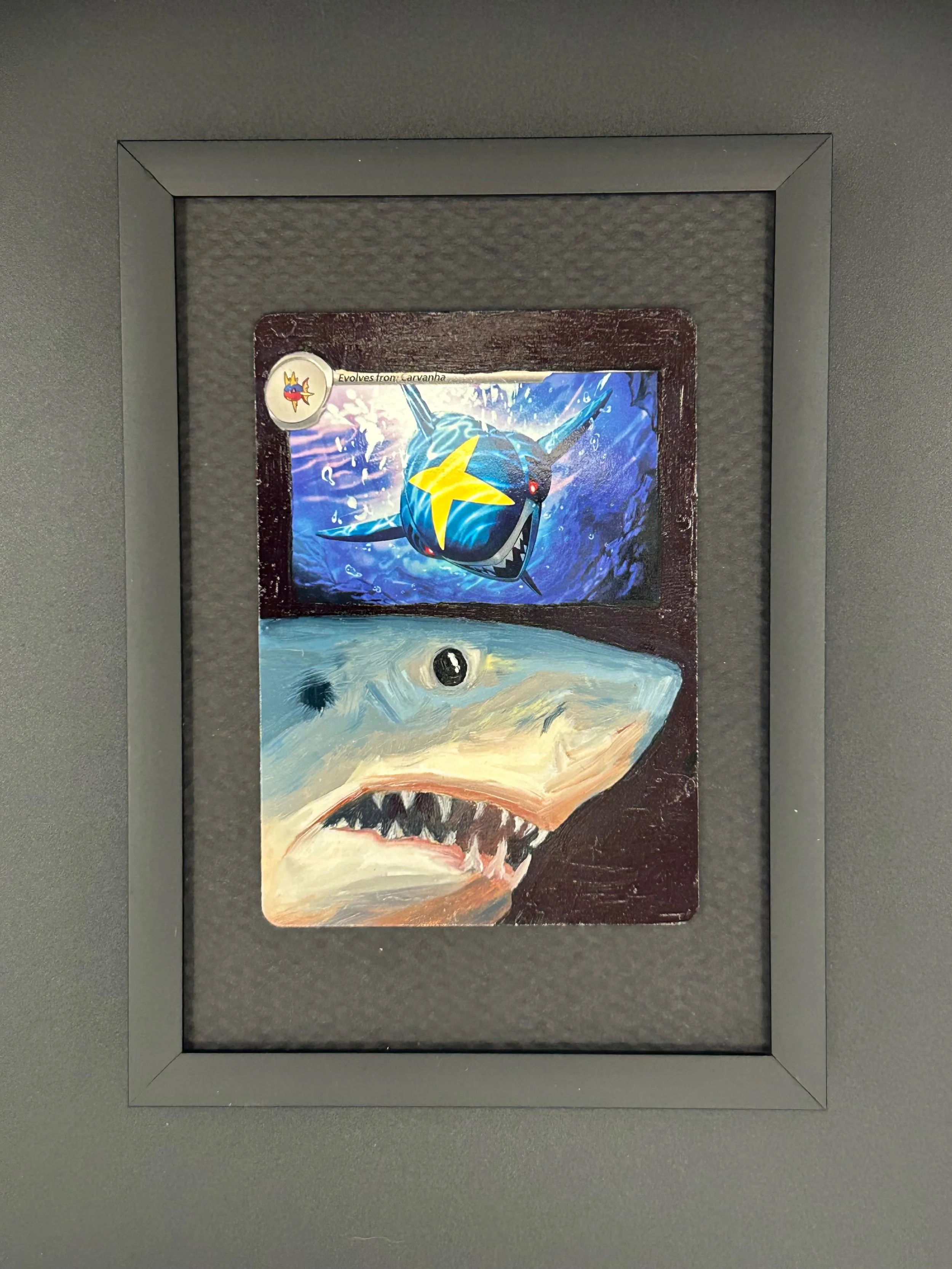 Original sharpedo.jpeg
