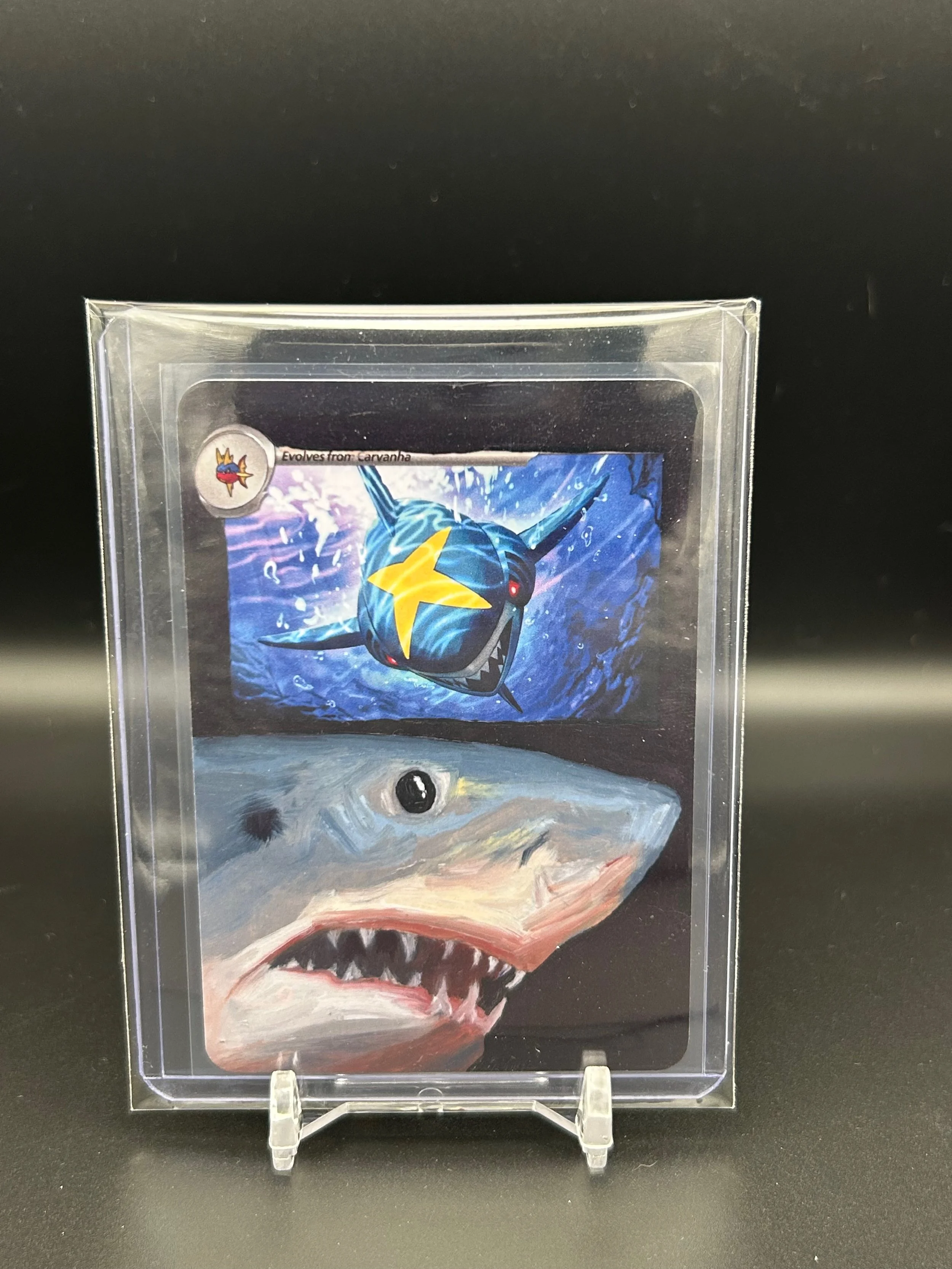 sharpedo print.jpeg