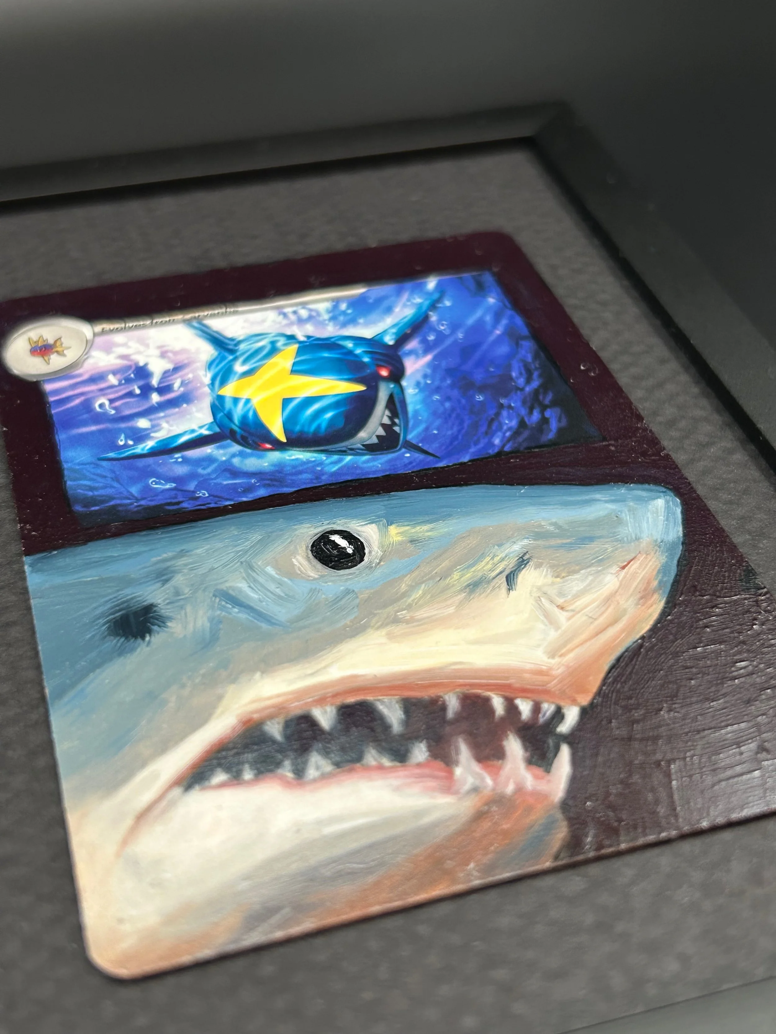 original sharpedo detail.jpeg
