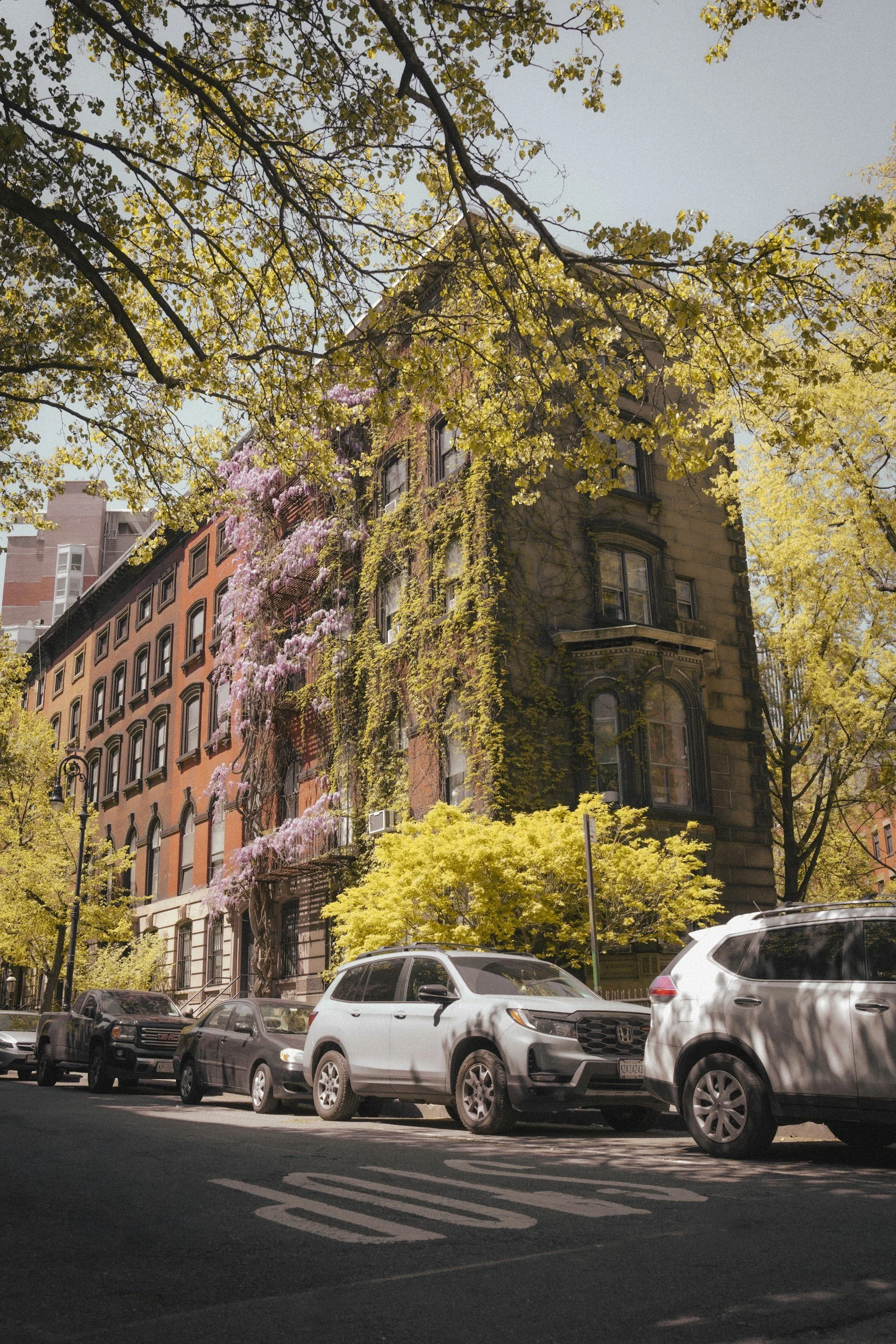Street view with parked cars in front of a building covered in yellow and purple flowering trees under a blue sky.