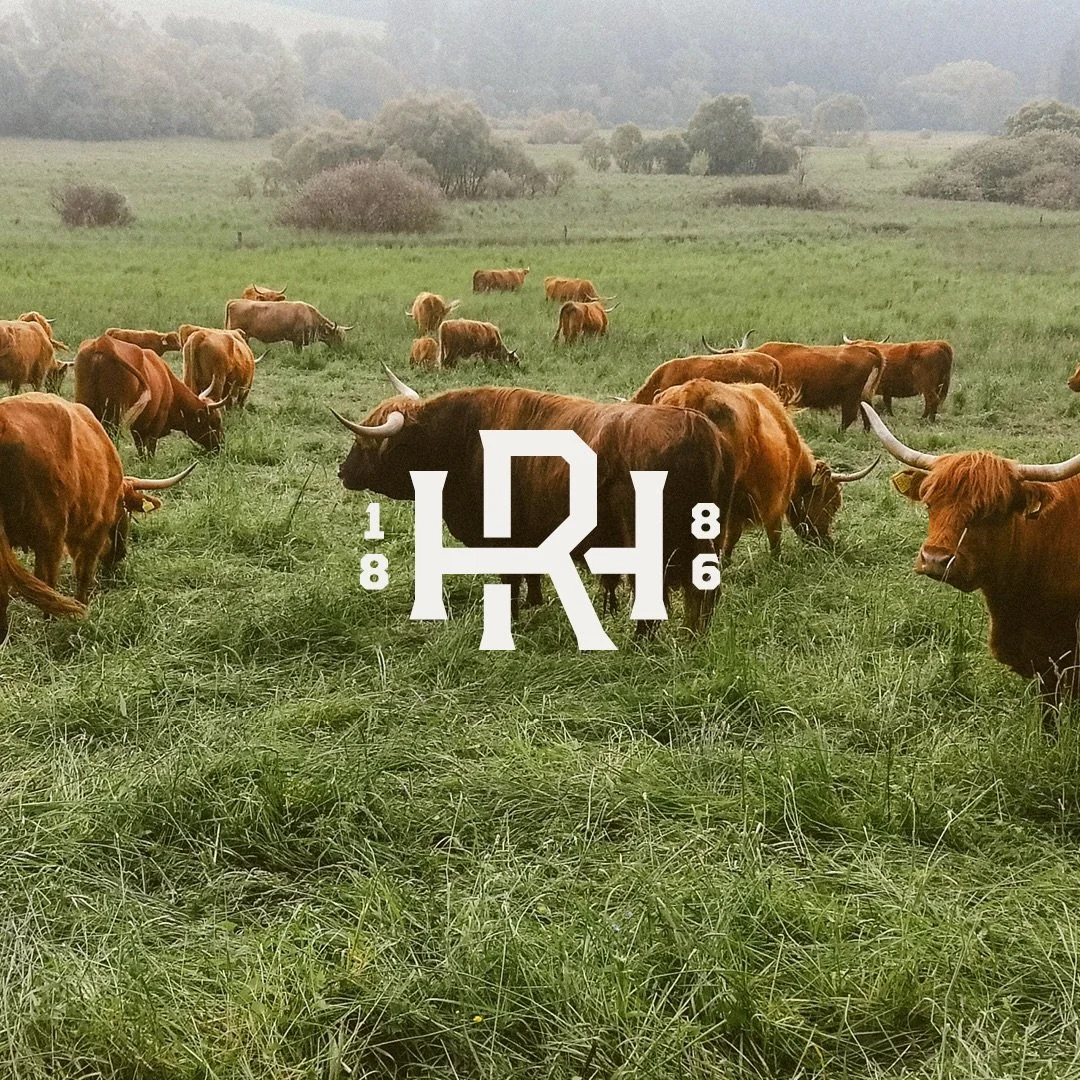 Good cattle on good ground. That is still the standard. We are building patiently now so when Holdfast beef is ready, it will stand on something real.