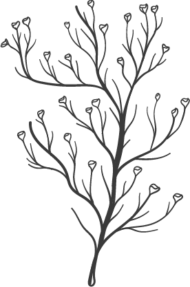 Outline of a tree with small buds on its branches.