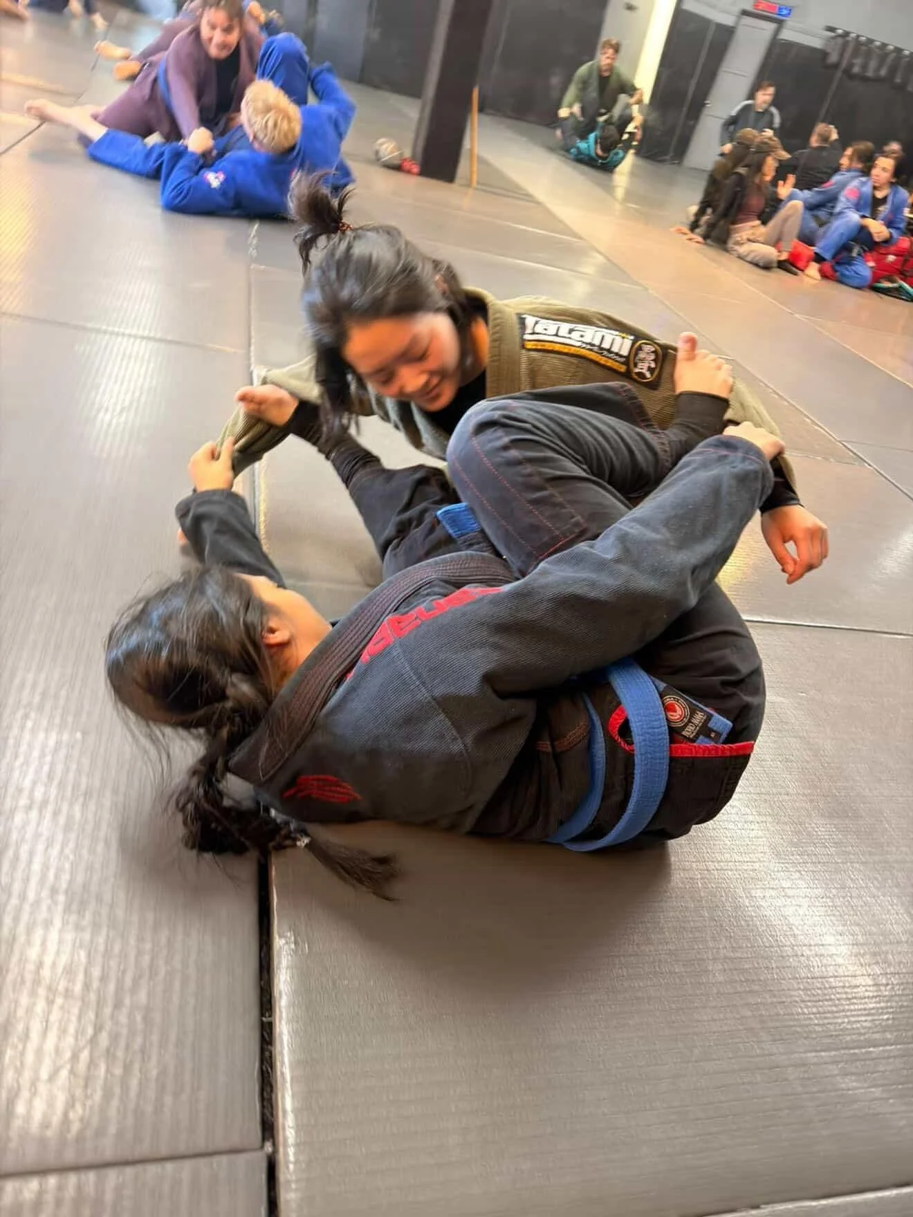 jiu jitsu north hollywood noho mma