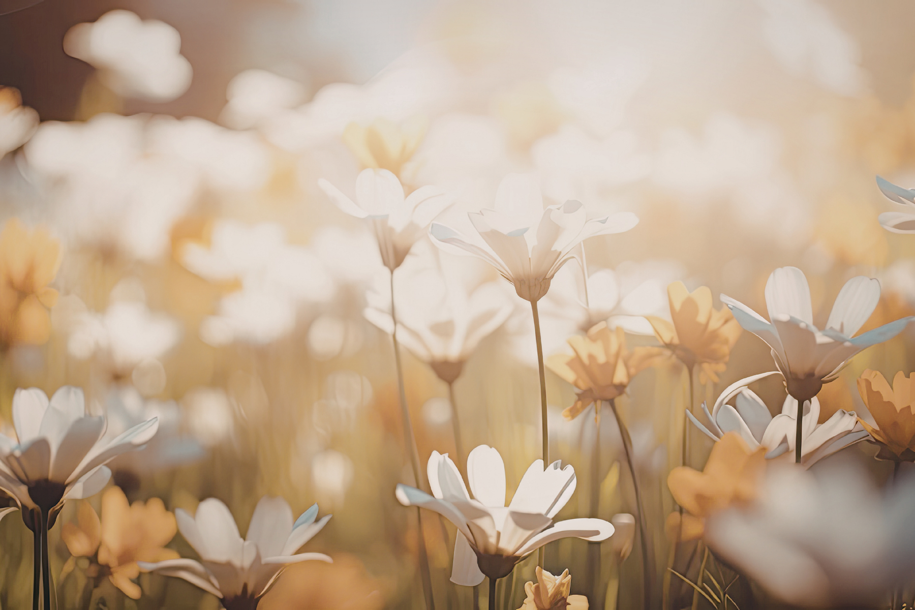 Yoga &amp; Ayurveda for All Seasons: Summer