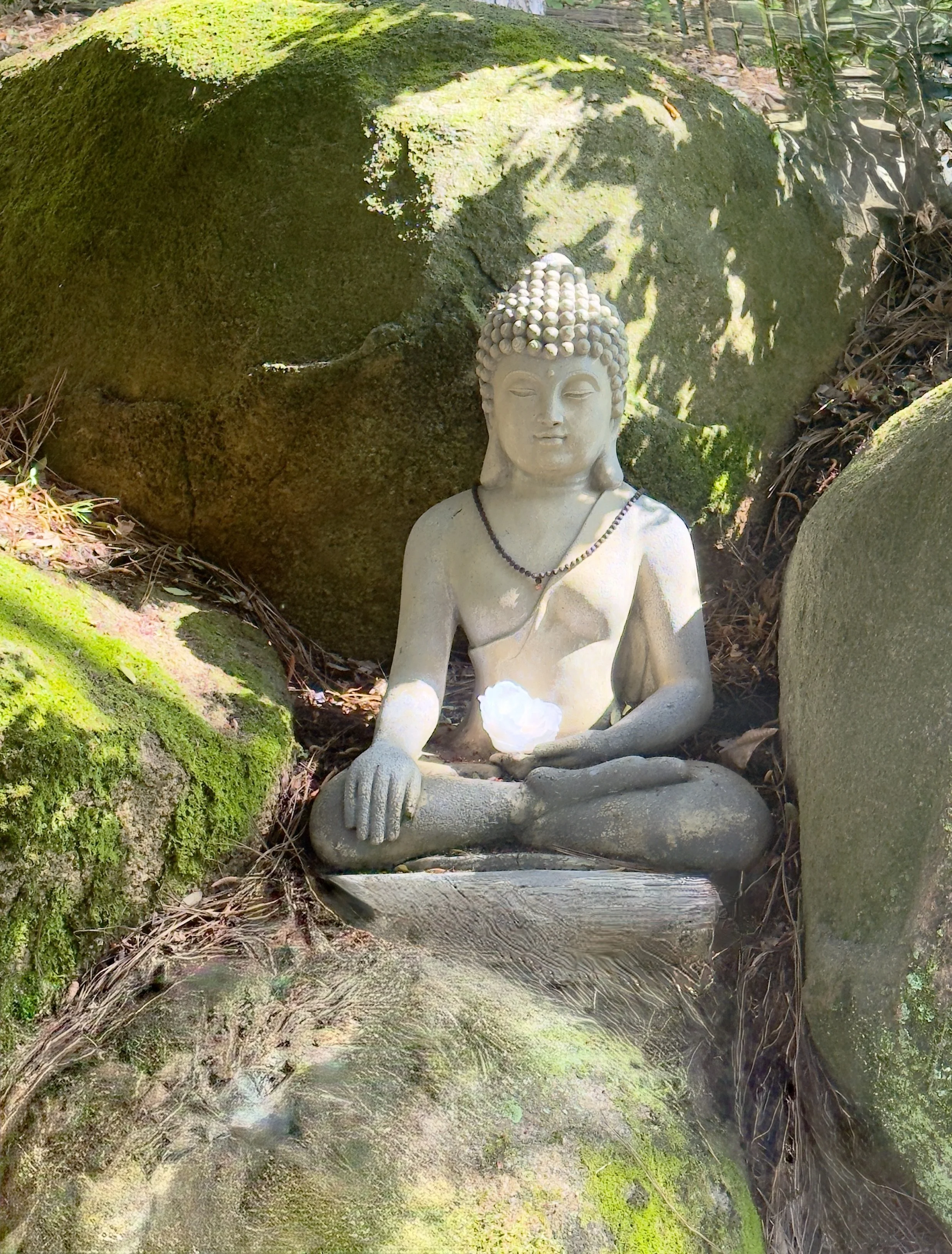 Buddha statue sitting cross-legged among moss-covered rocks in a natural outdoor setting.
