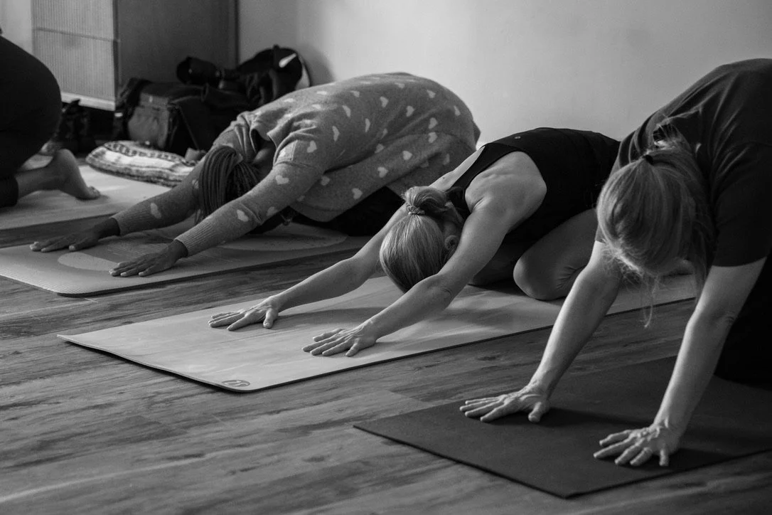Students participating in a yoga class, in child's pose on yoga mats in a studio.