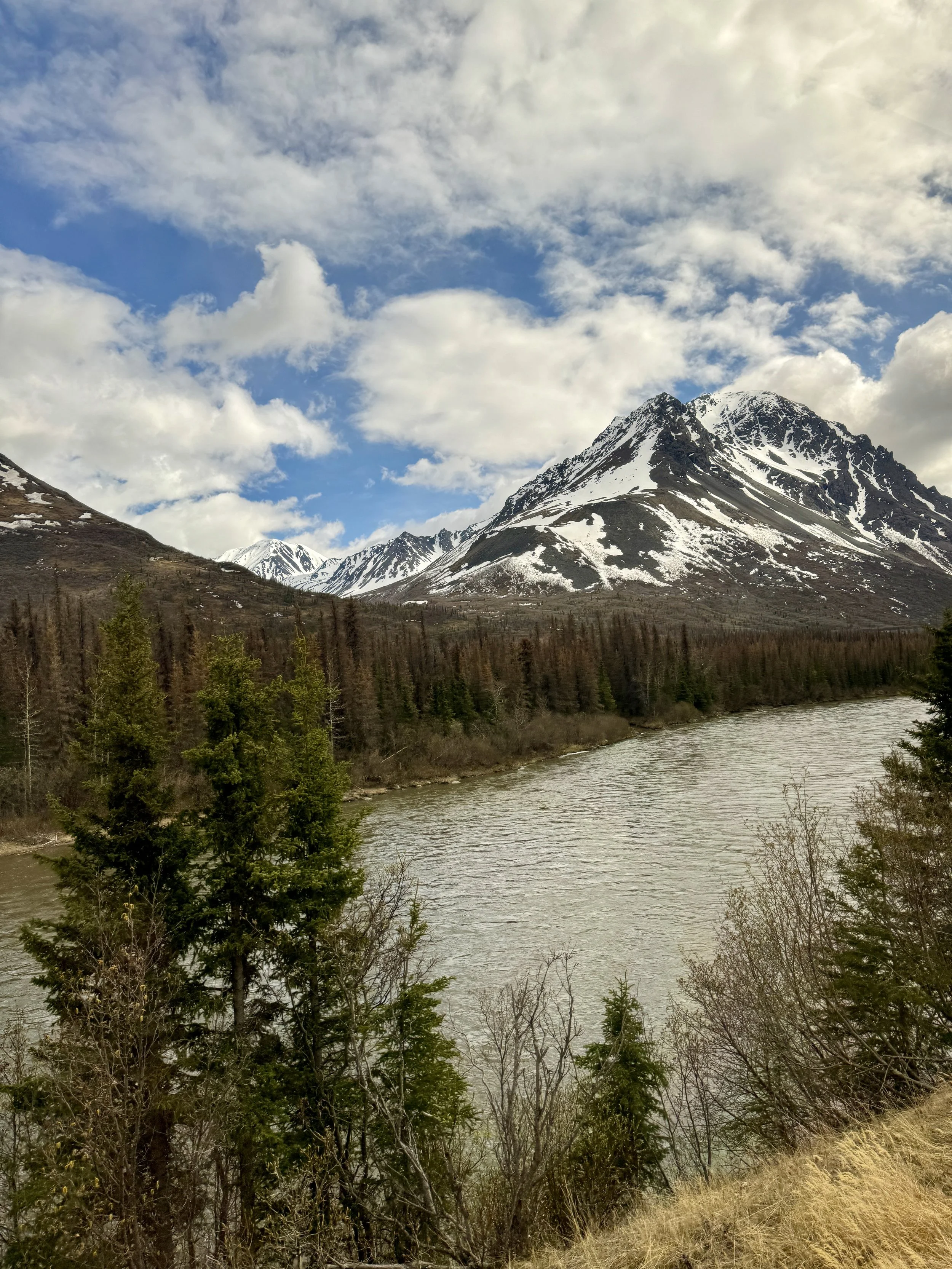 Snow-capped mountains beside a river, with a partly cloudy sky and some green trees in the foreground.