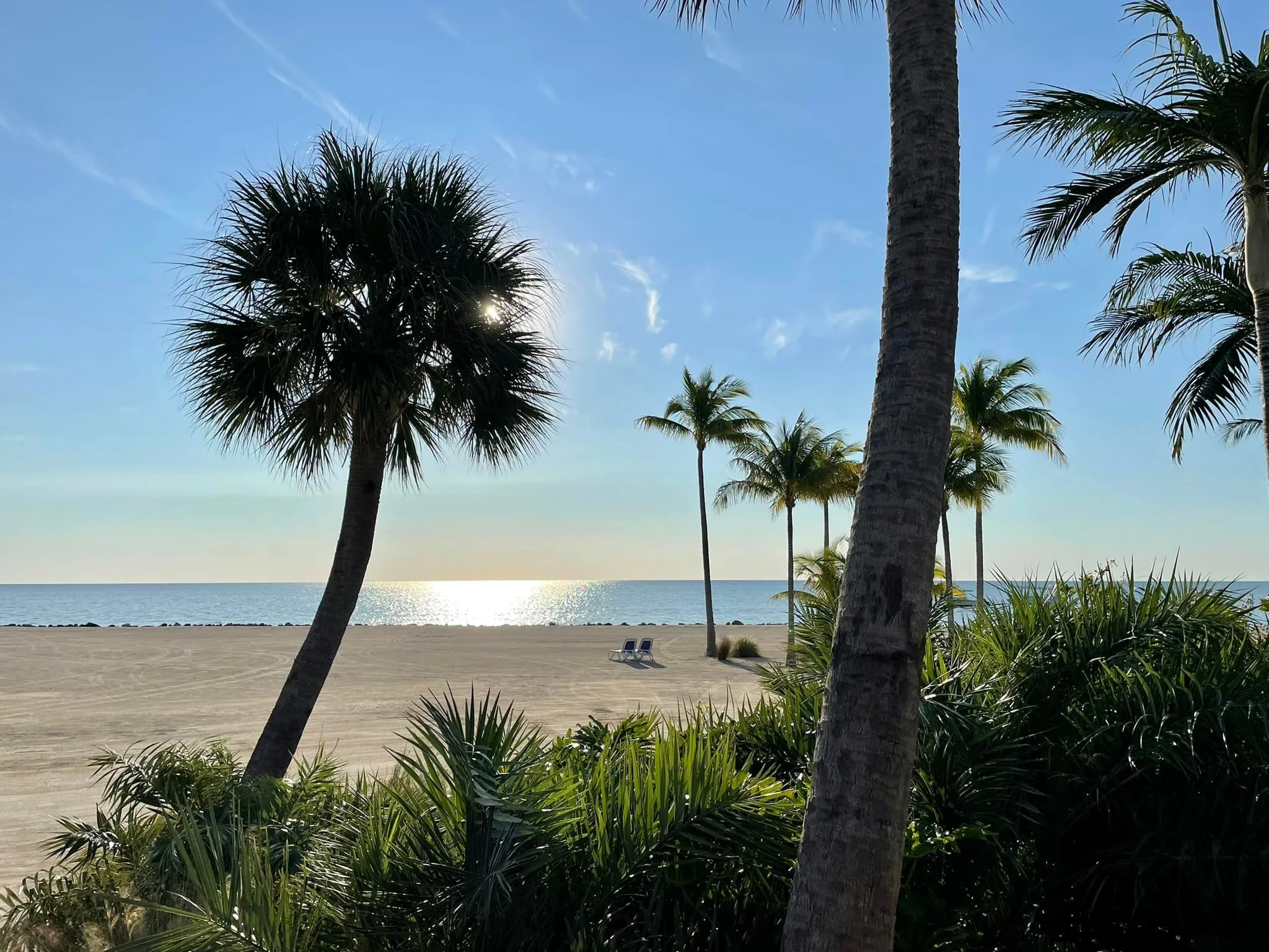 A beach scene with tall palm trees and lush green bushes in the foreground, sandy beach with two chairs, and the ocean in the background under a clear blue sky with a few wispy clouds.