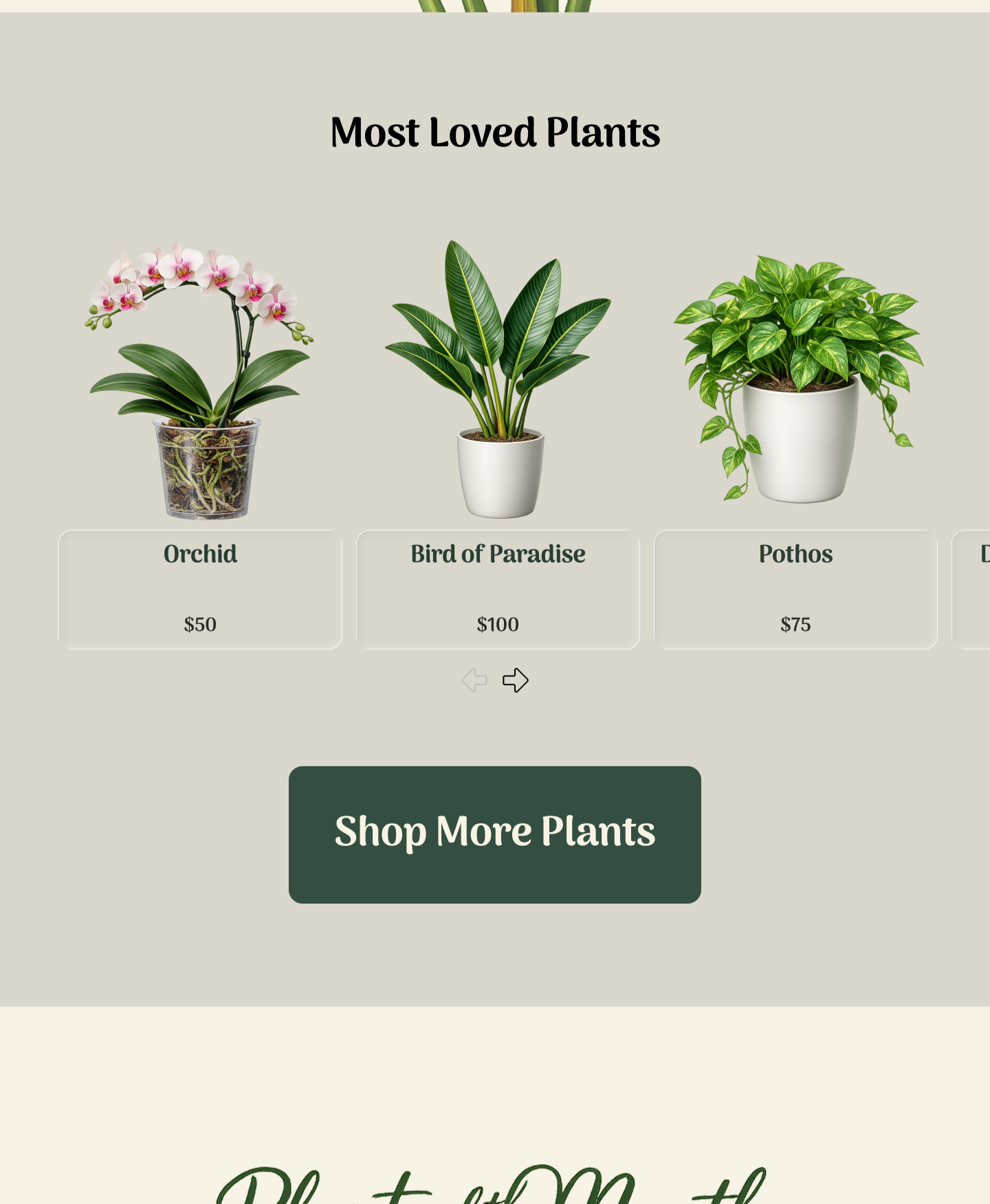 Hi-fi+-+Rooted+Haven+Website.png