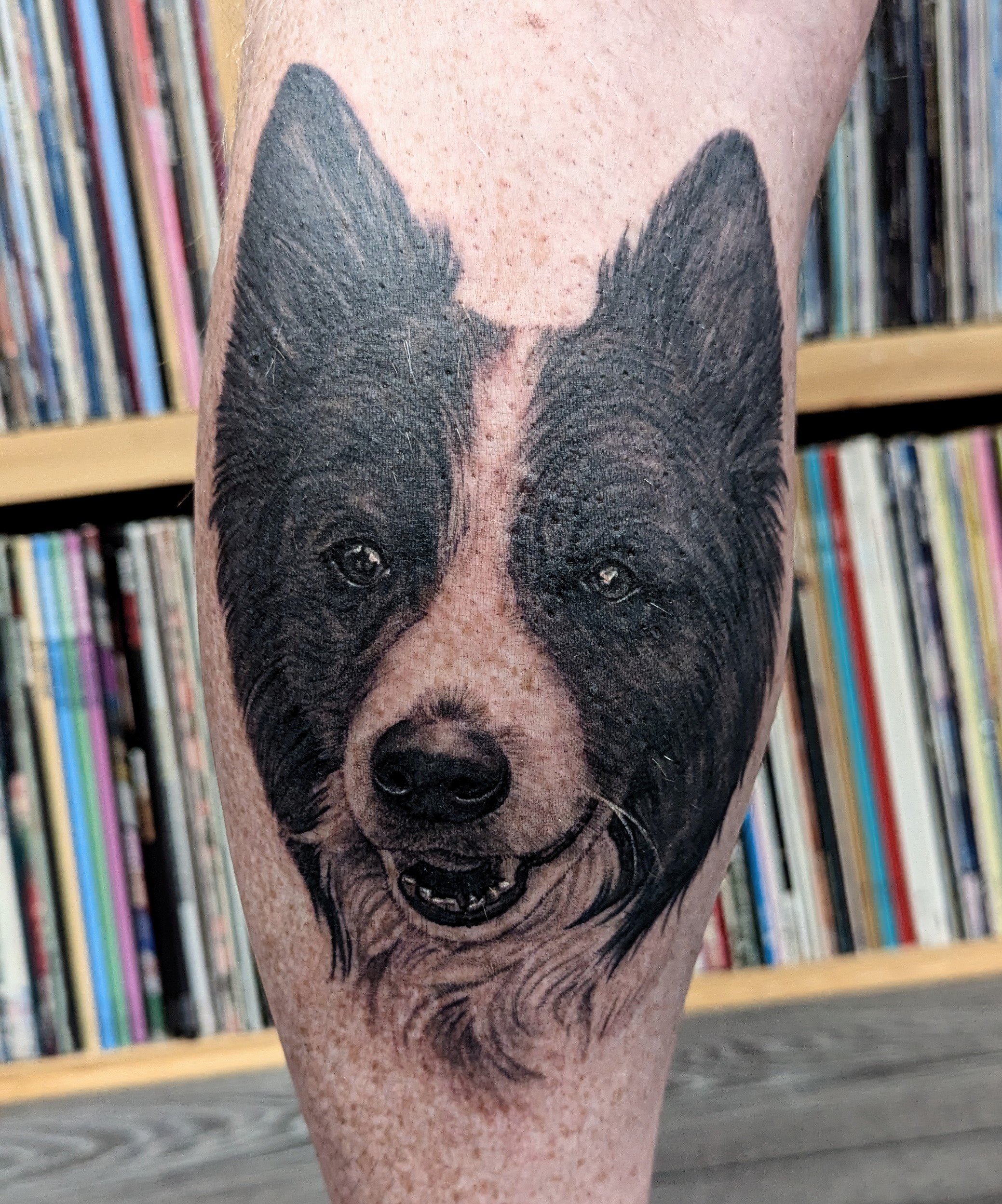 Tattoo of a detailed dog's face on a person's arm, with a background of bookshelves filled with book spines.