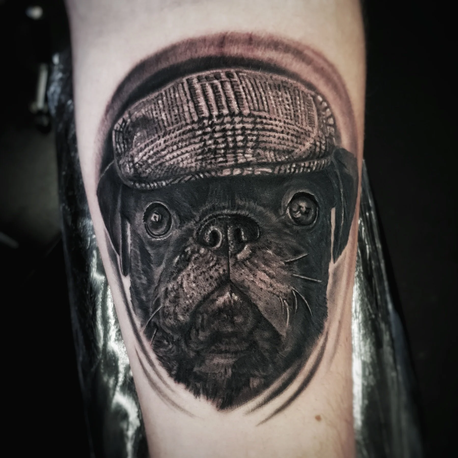 black-grey-pug-dog-portrait-toddington-bedfordshire.jpg