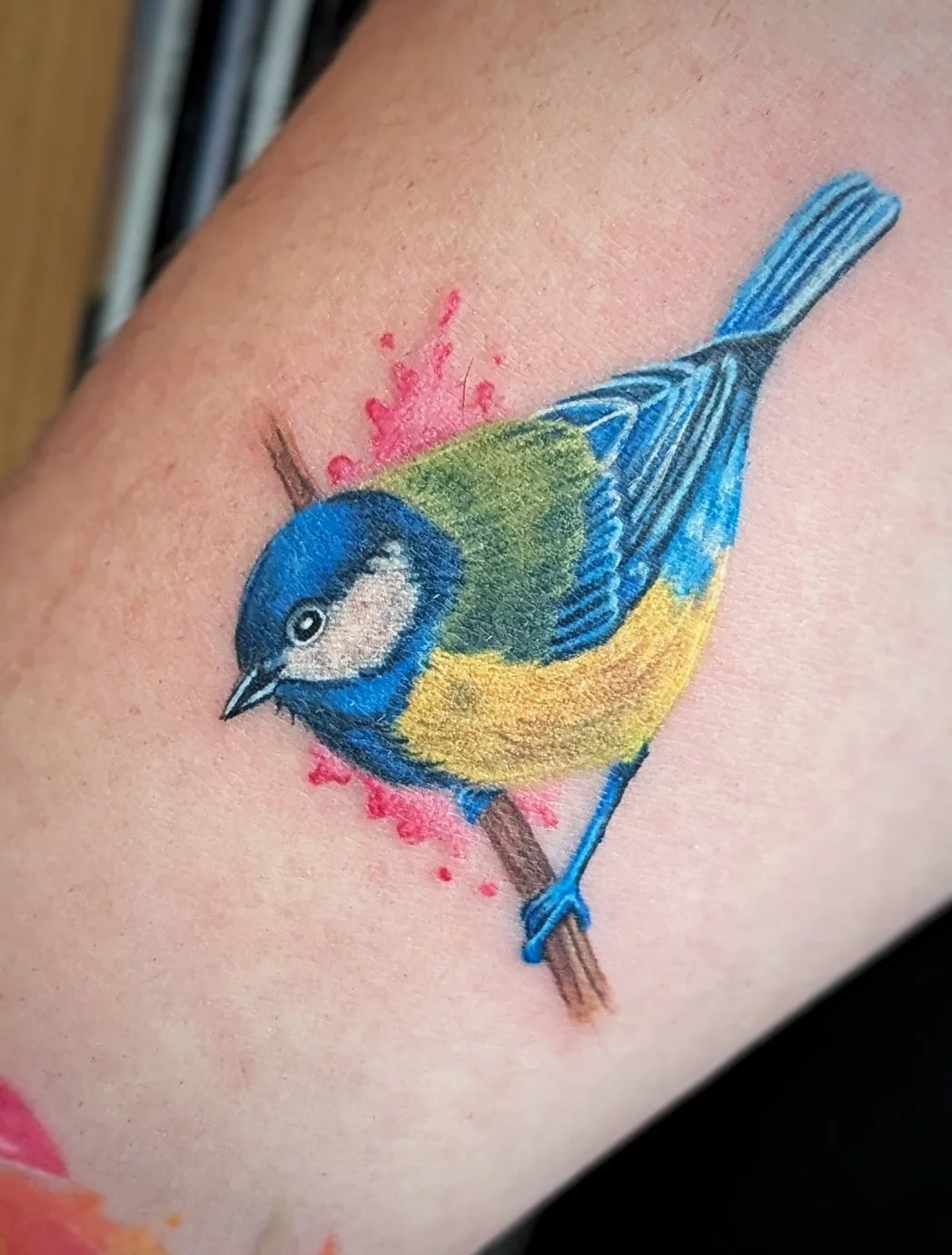 bluetit-bird-nature-tattoo-toddington-bedfordshire.jpeg
