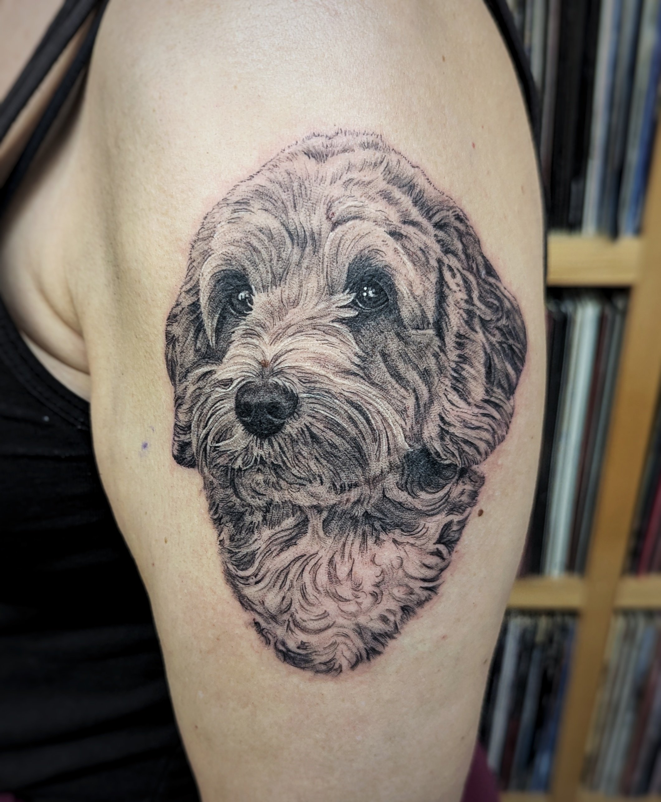 cockapoo-dog-portrait-tattoo-slimshader-toddington-bedfordshire.jpeg