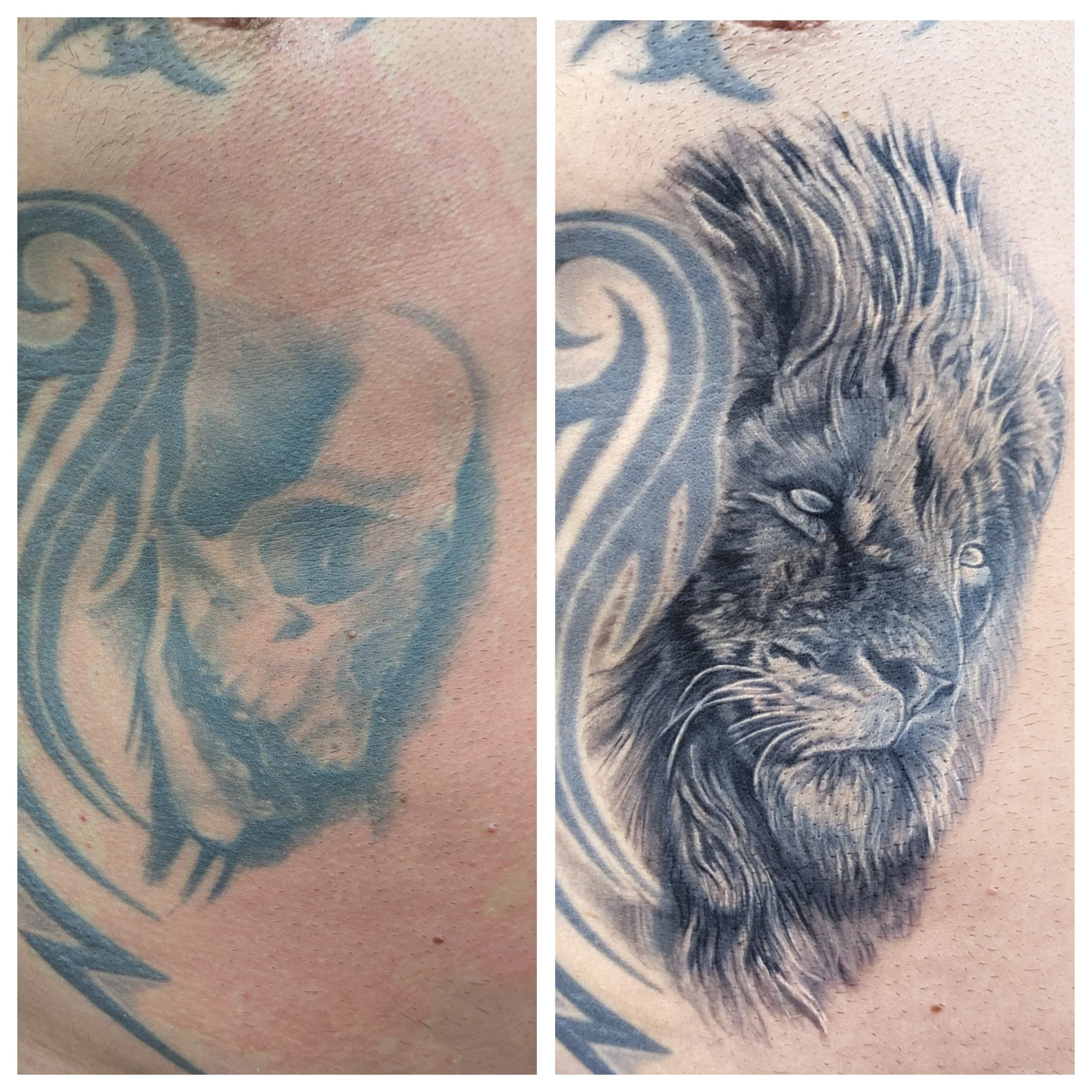 lion-cover-up-black-and-grey-tattoo-toddington-bedfordshire.jpg