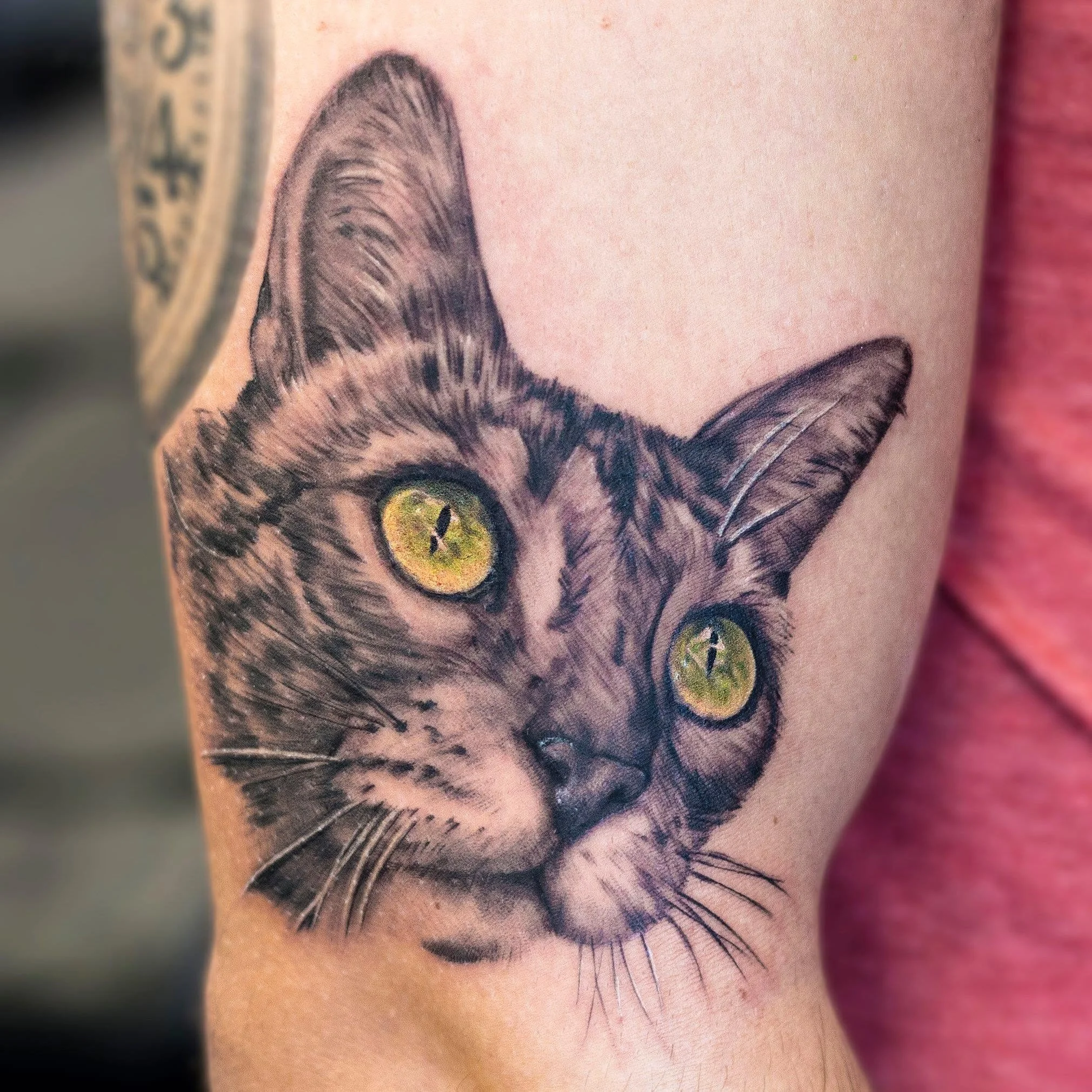 cat-portrait-tattoo-toddington-bedfordshire.jpg