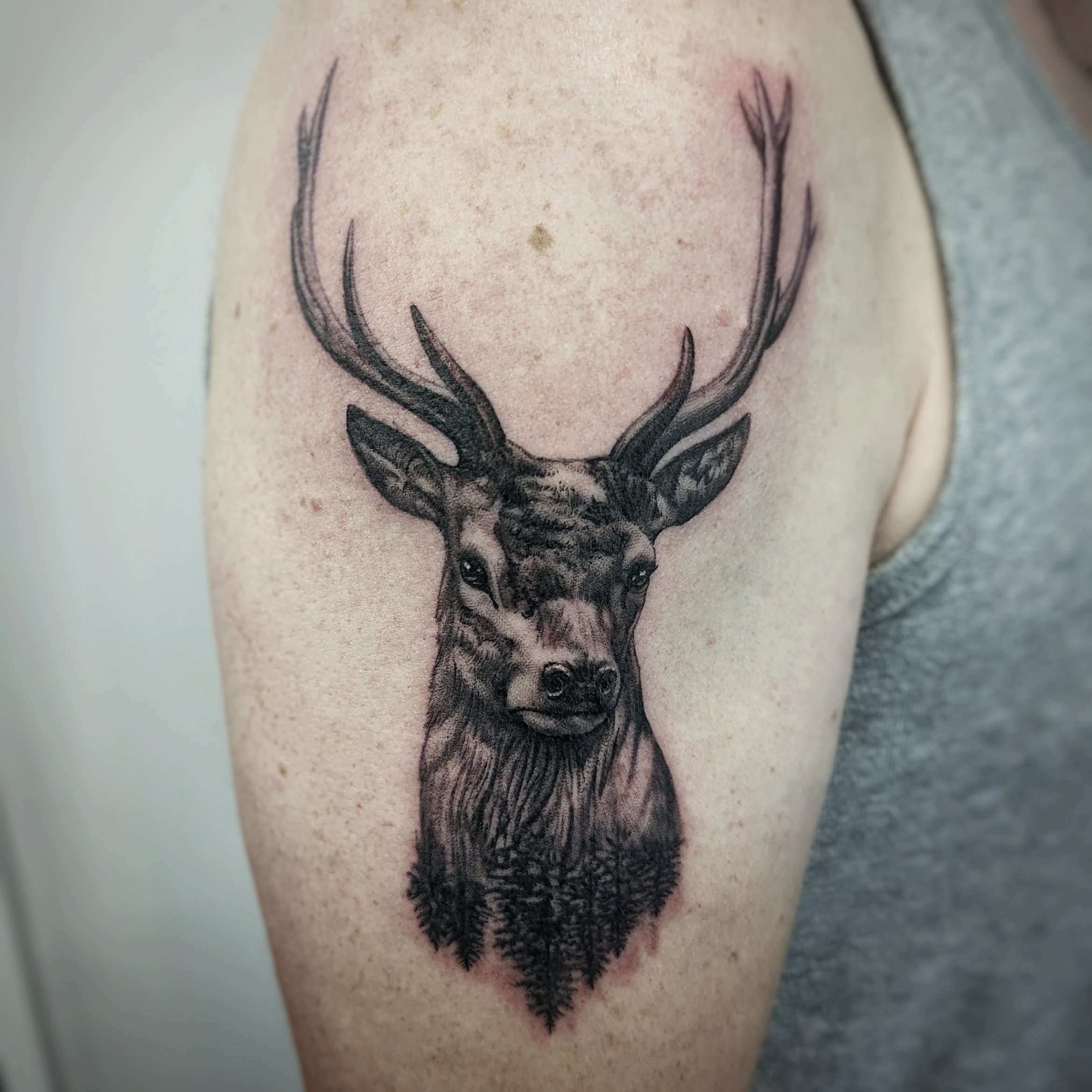 Tattoo of a realistic deer head on person's upper arm.