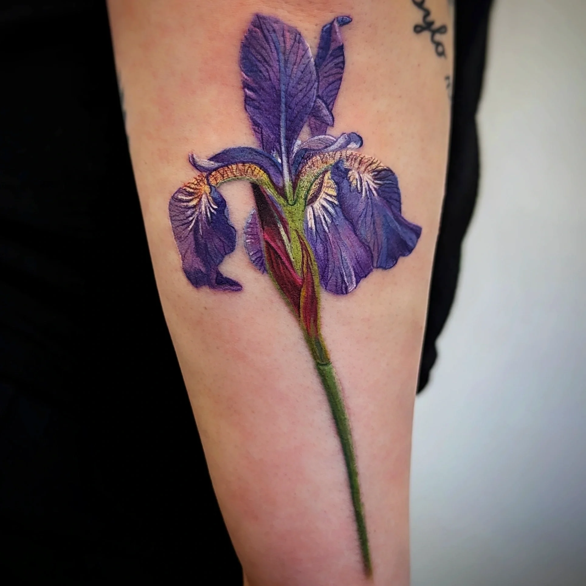 realism-colour-iris-flower-tattoo-toddington-bedfordshire.webp