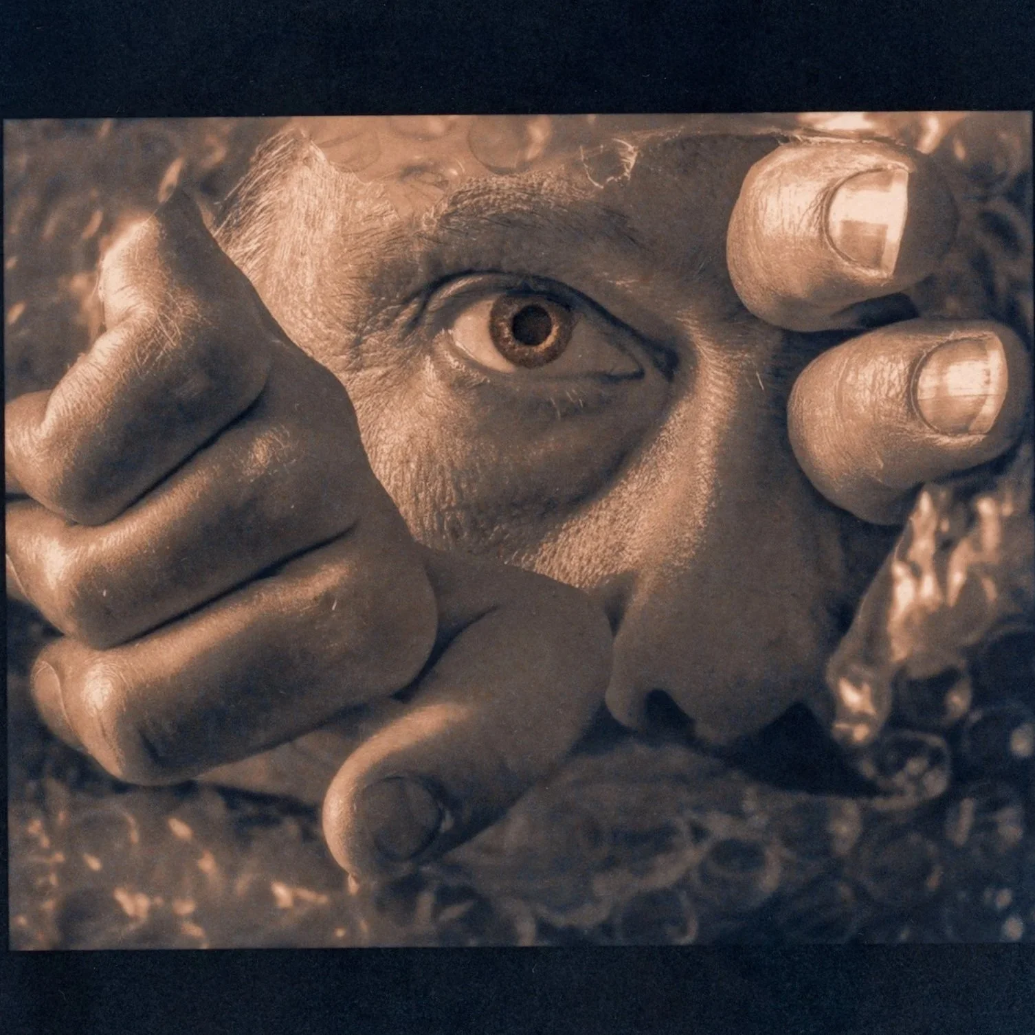 Ferroblend [cupro-cyanotype]