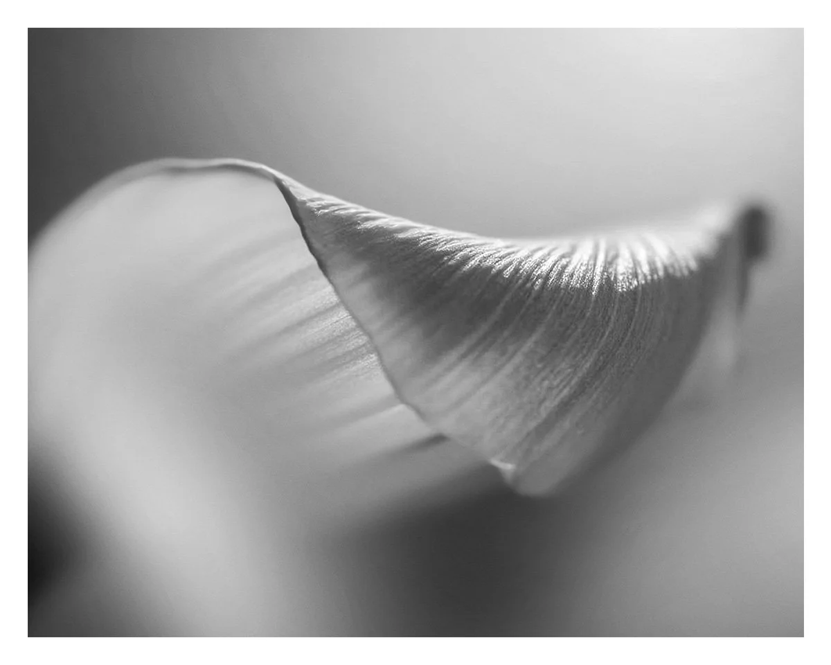 img-b.jpg
