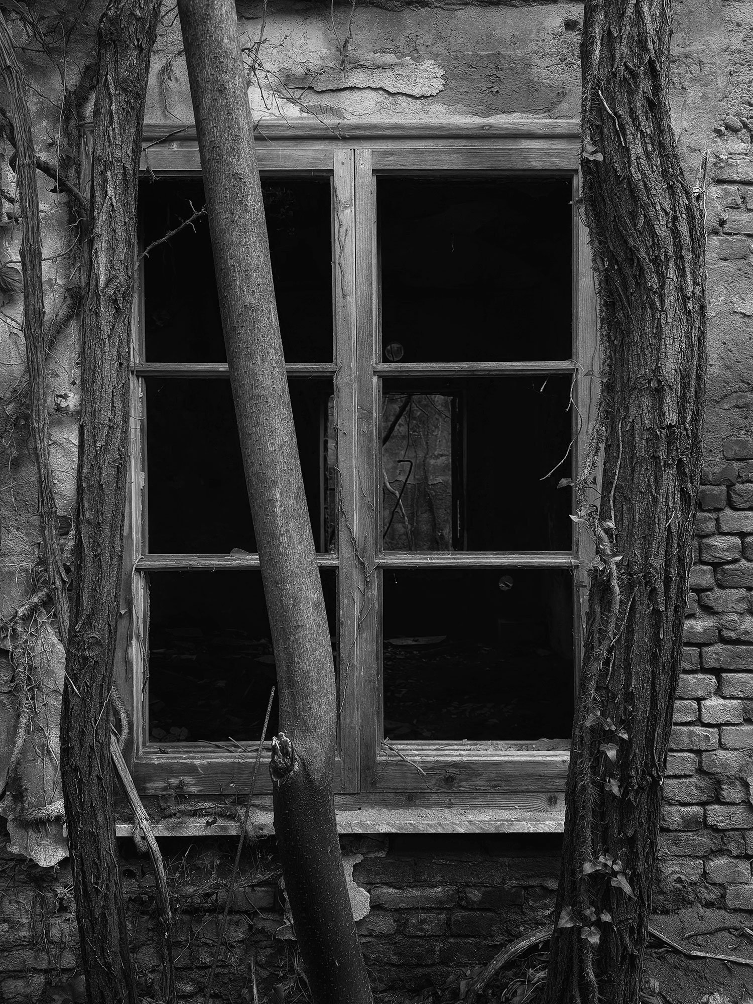 Through the window [kallitype]