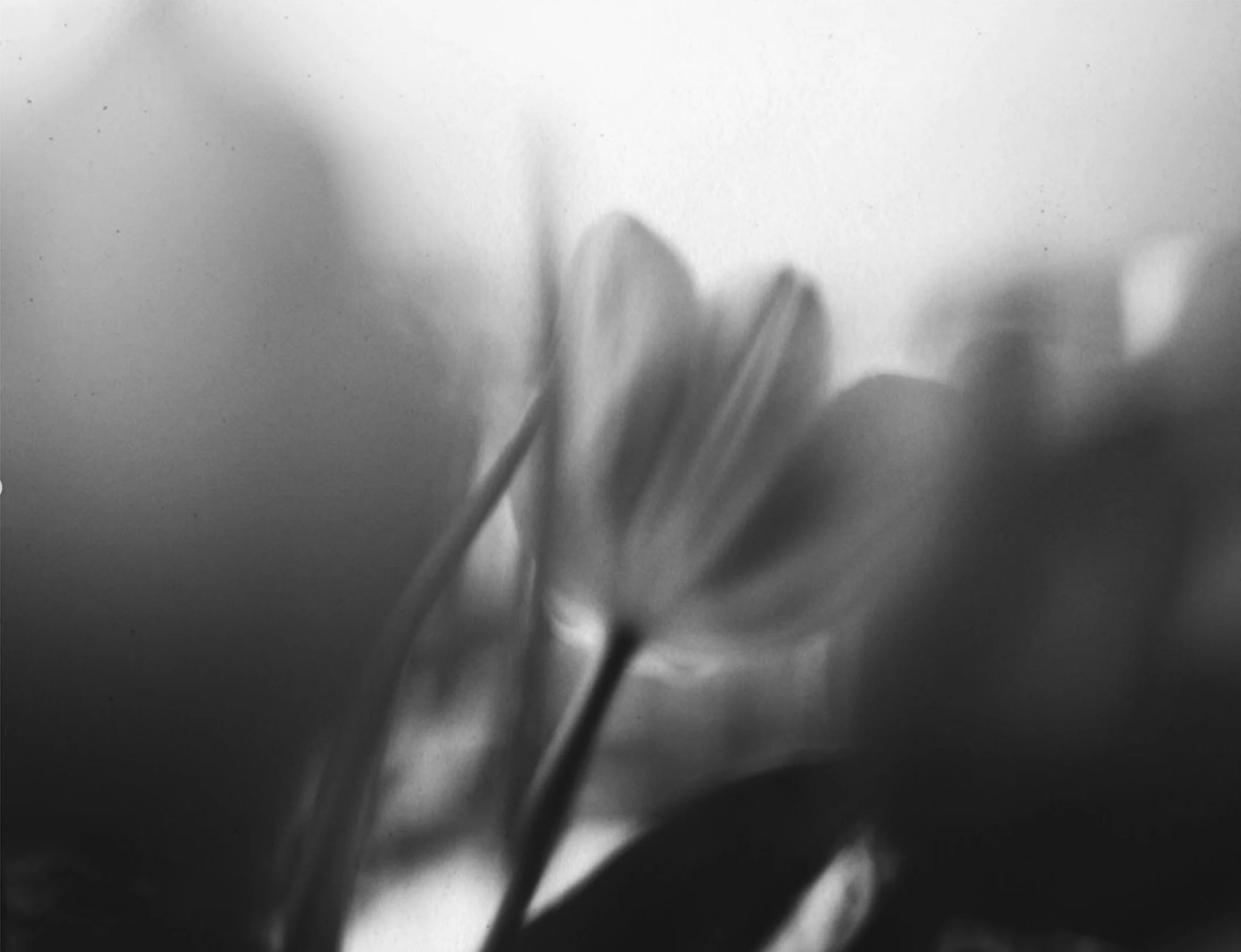 Already-leaving-2.jpg