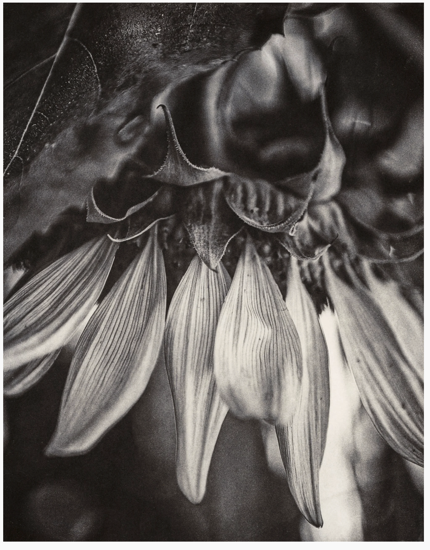 Still life and other stories