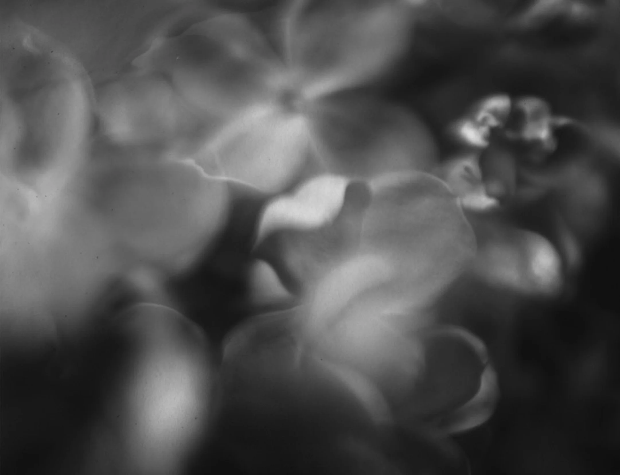 Already-leaving-3.jpg