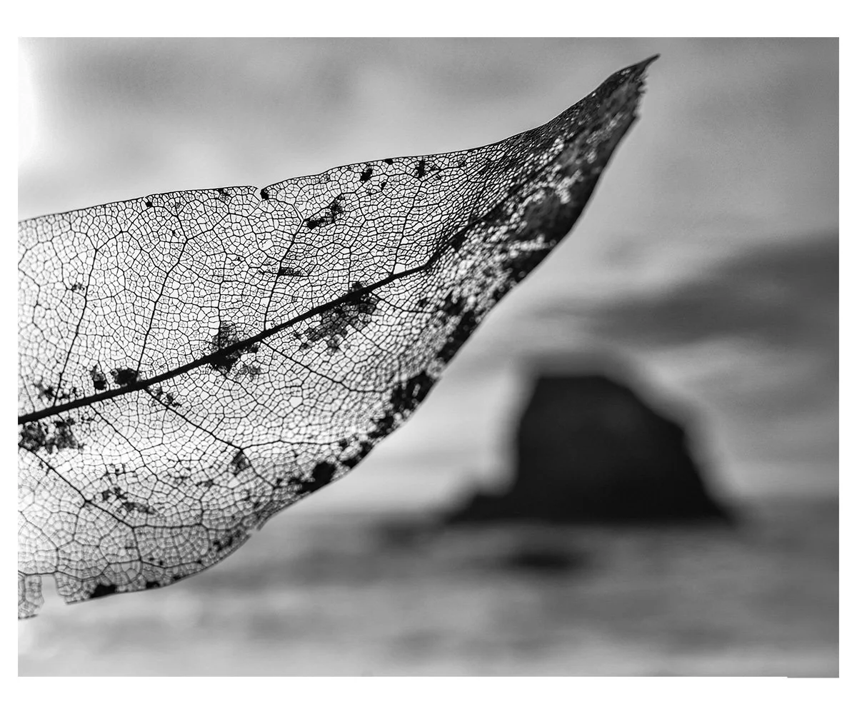 already-leaving-f.jpg
