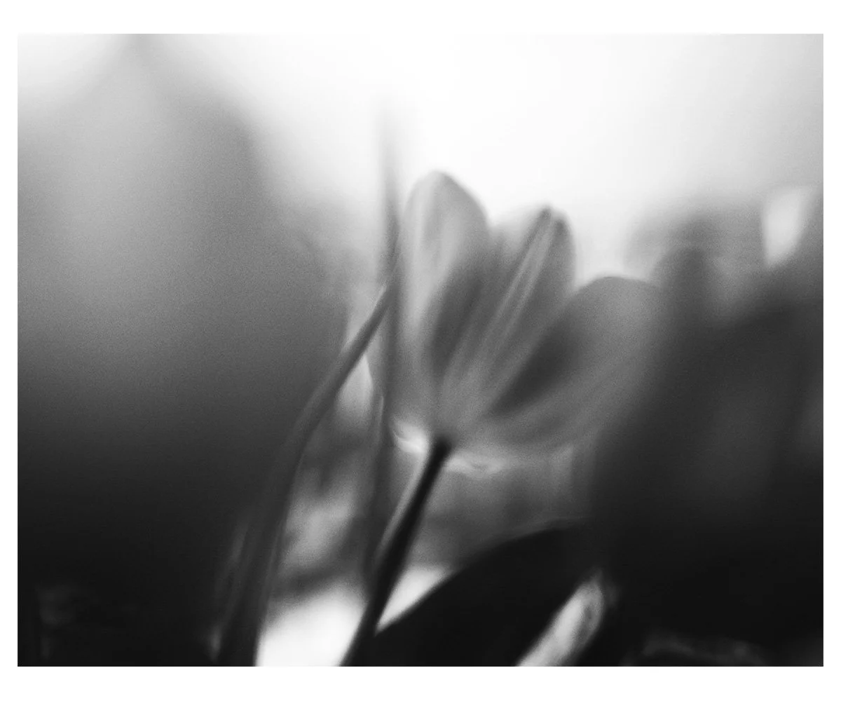 already-leaving-a.jpg
