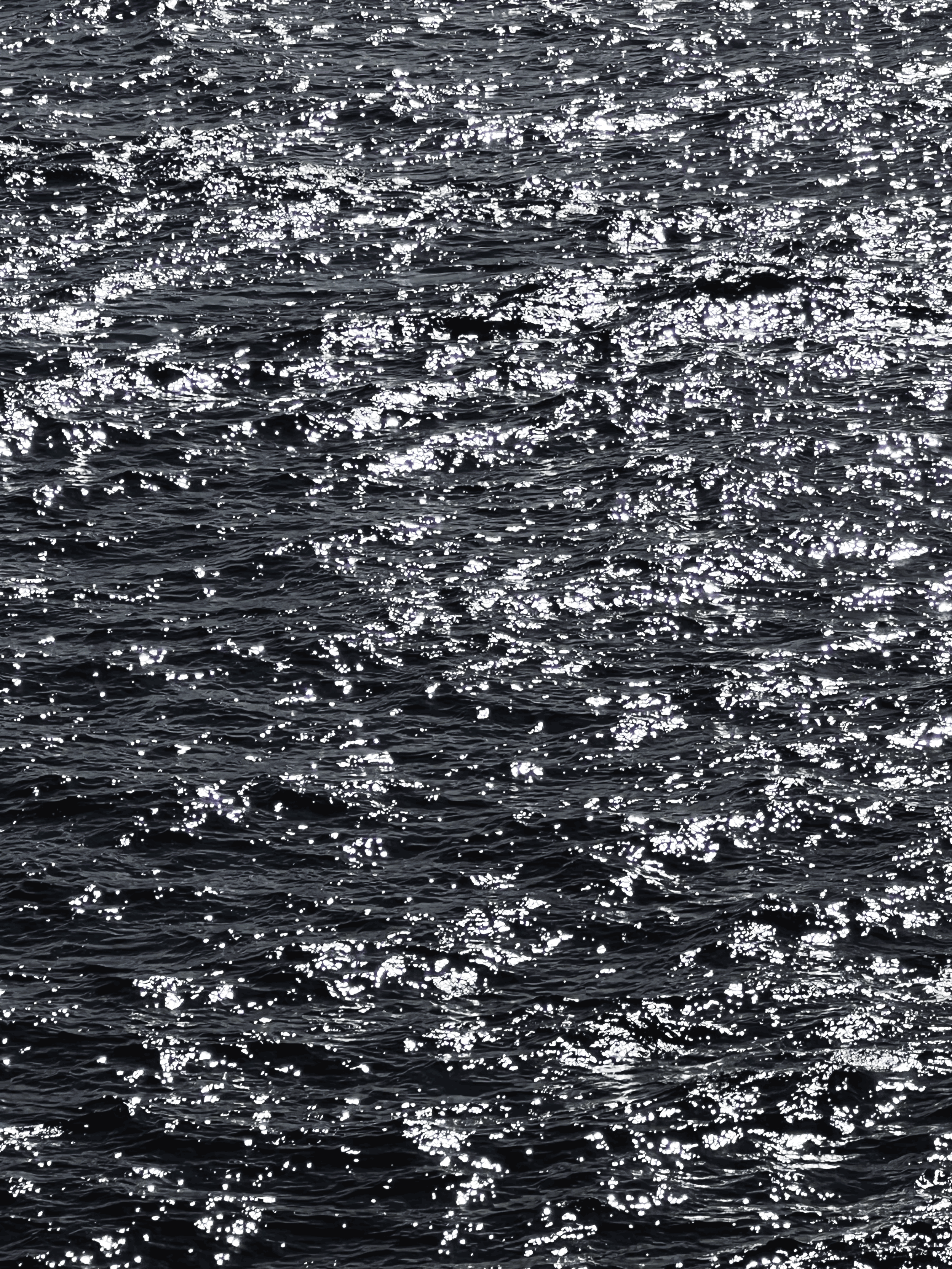 Film: The coldest of all Seas - wins Palme d’Or 2026