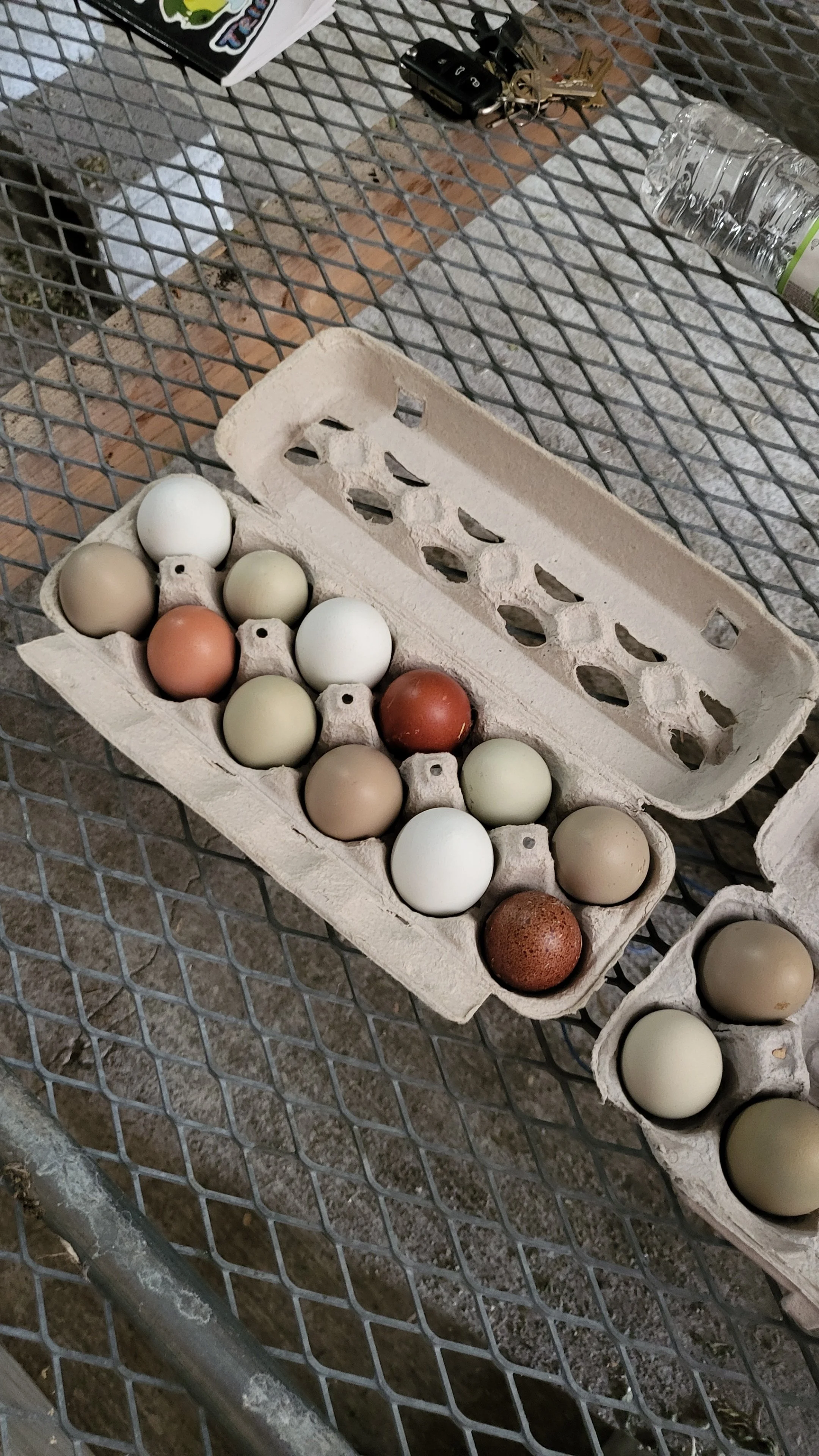 Egg cartons with assorted colored eggs on a metal table, a plastic water bottle, and keys.