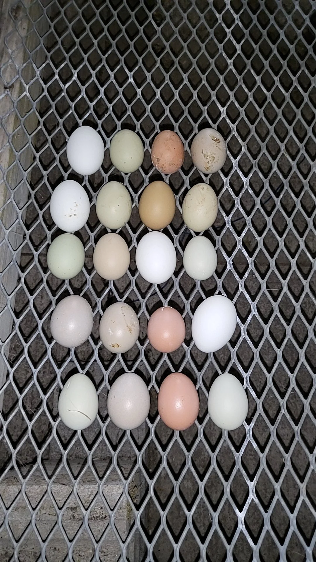 A variety of eggs in different colors and sizes arranged on a metal grate.