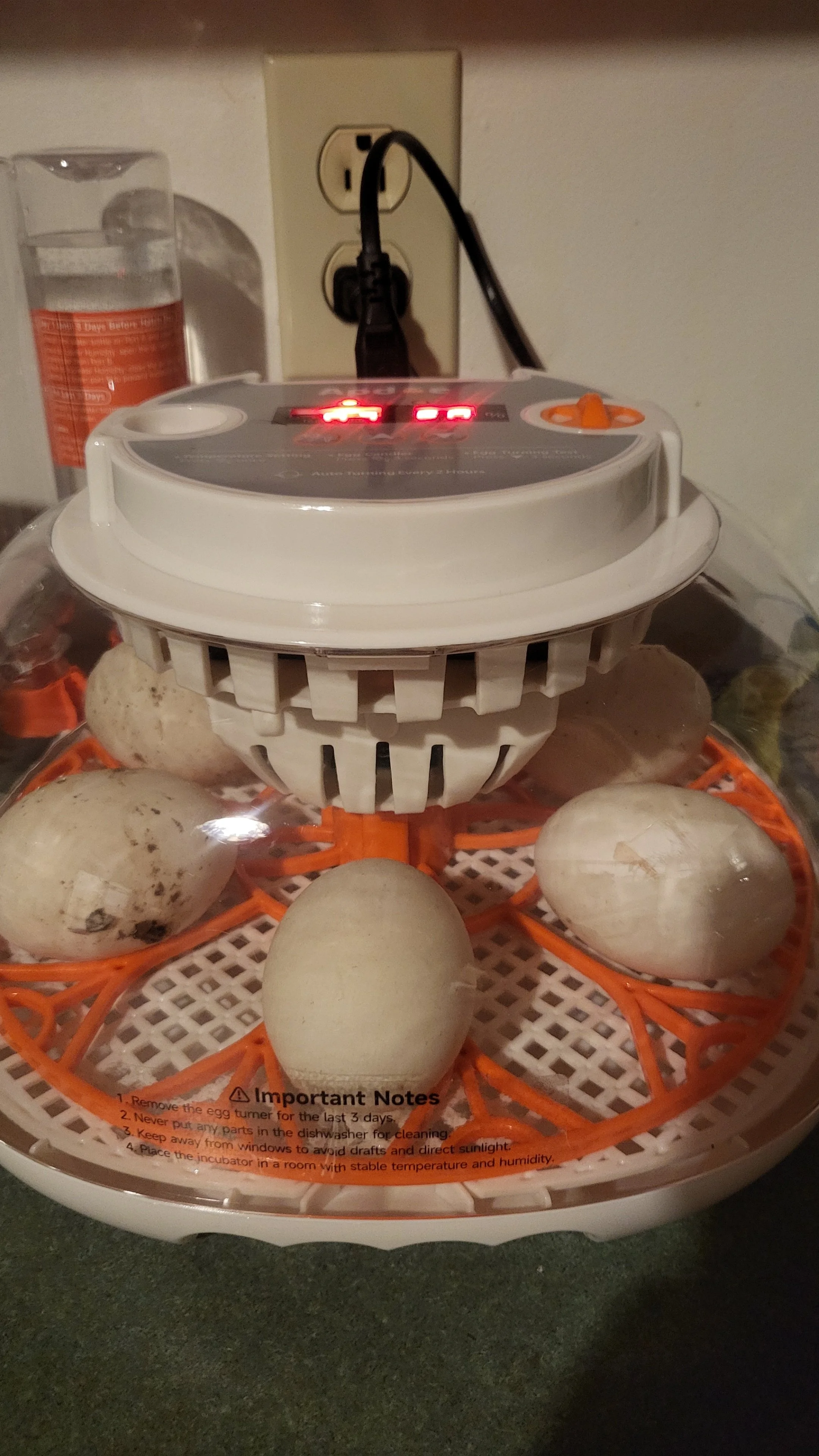 Egg incubator with eggs inside, one egg outside, plugged into wall outlet. Water bottle nearby.