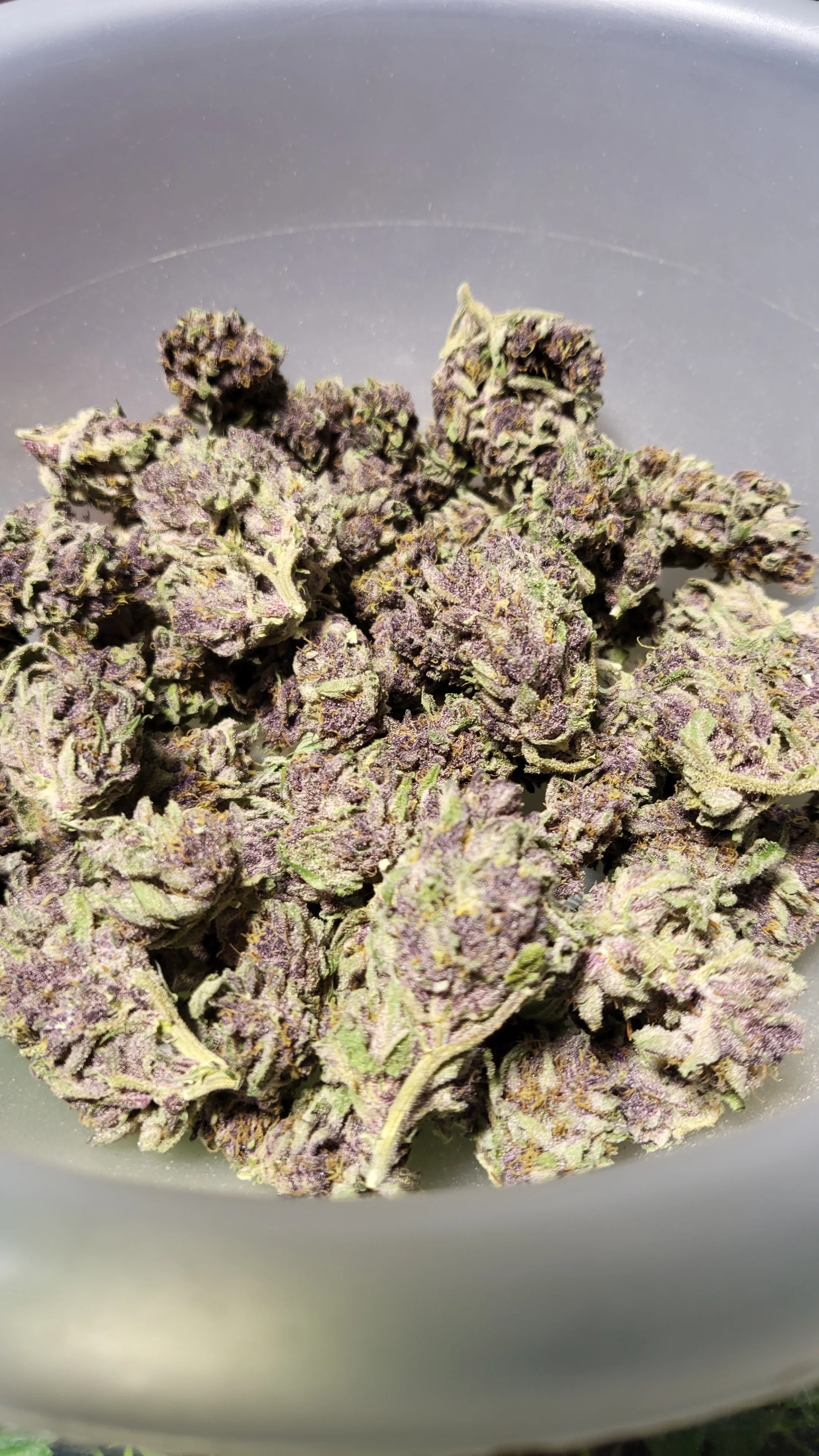 Vail Family Farm-Bennington-Vermont-Cannabis-Weed-Farm-13.jpg