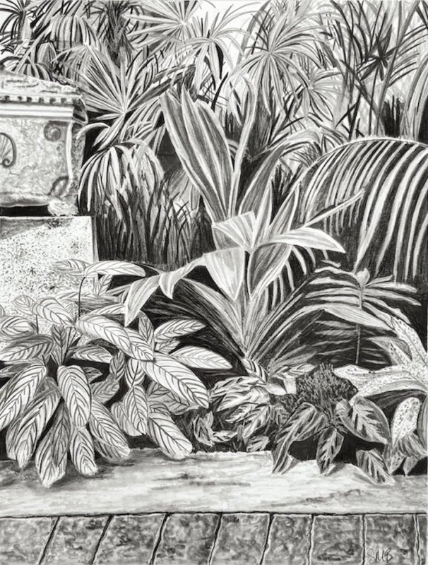 Tropic of Cancer_Shana Bowes_Graphite_sm.jpg