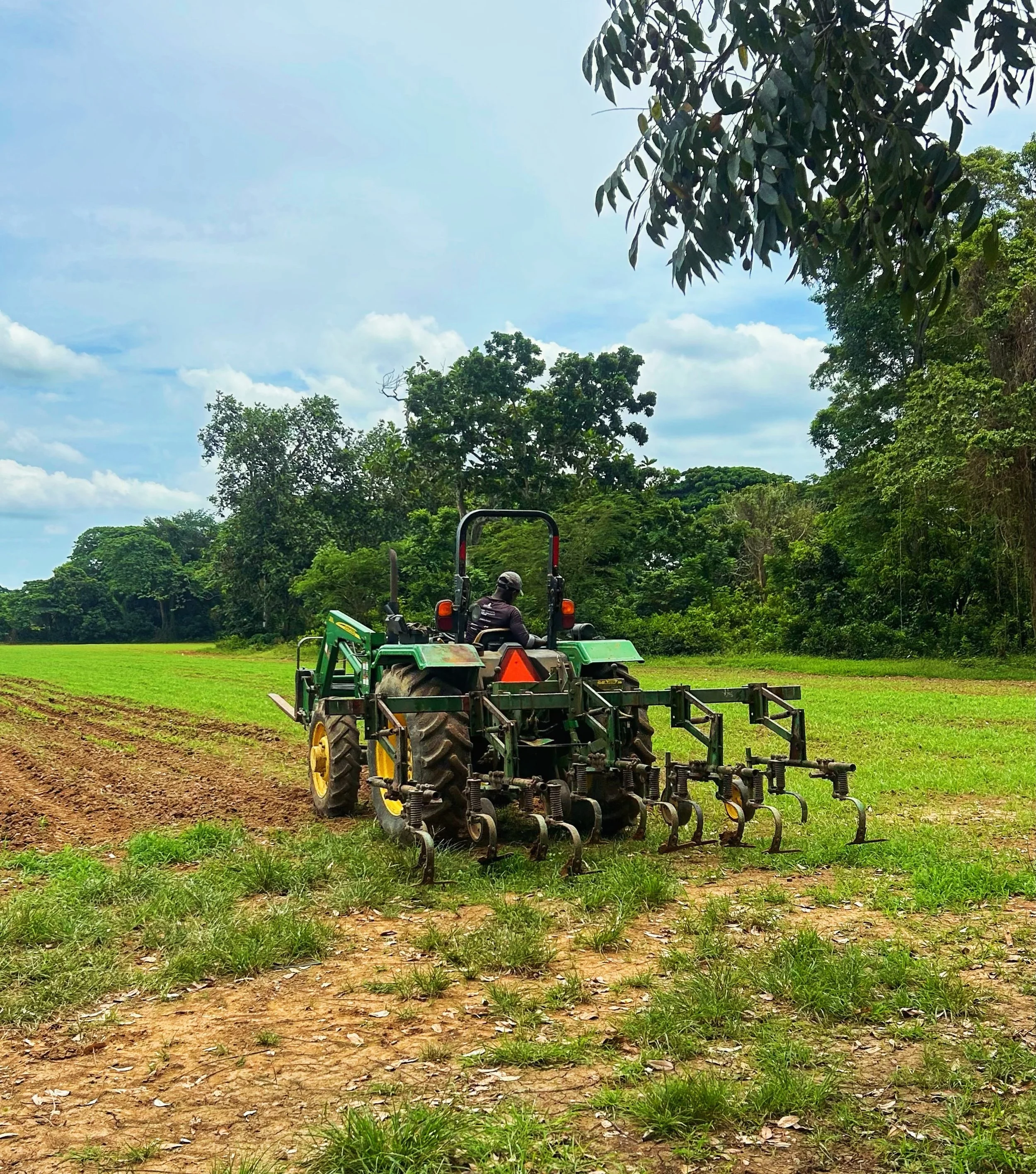 Testing some new gifted tools on the farm today 🚜
Thank you @new_roots_haiti 🌱💪🏾