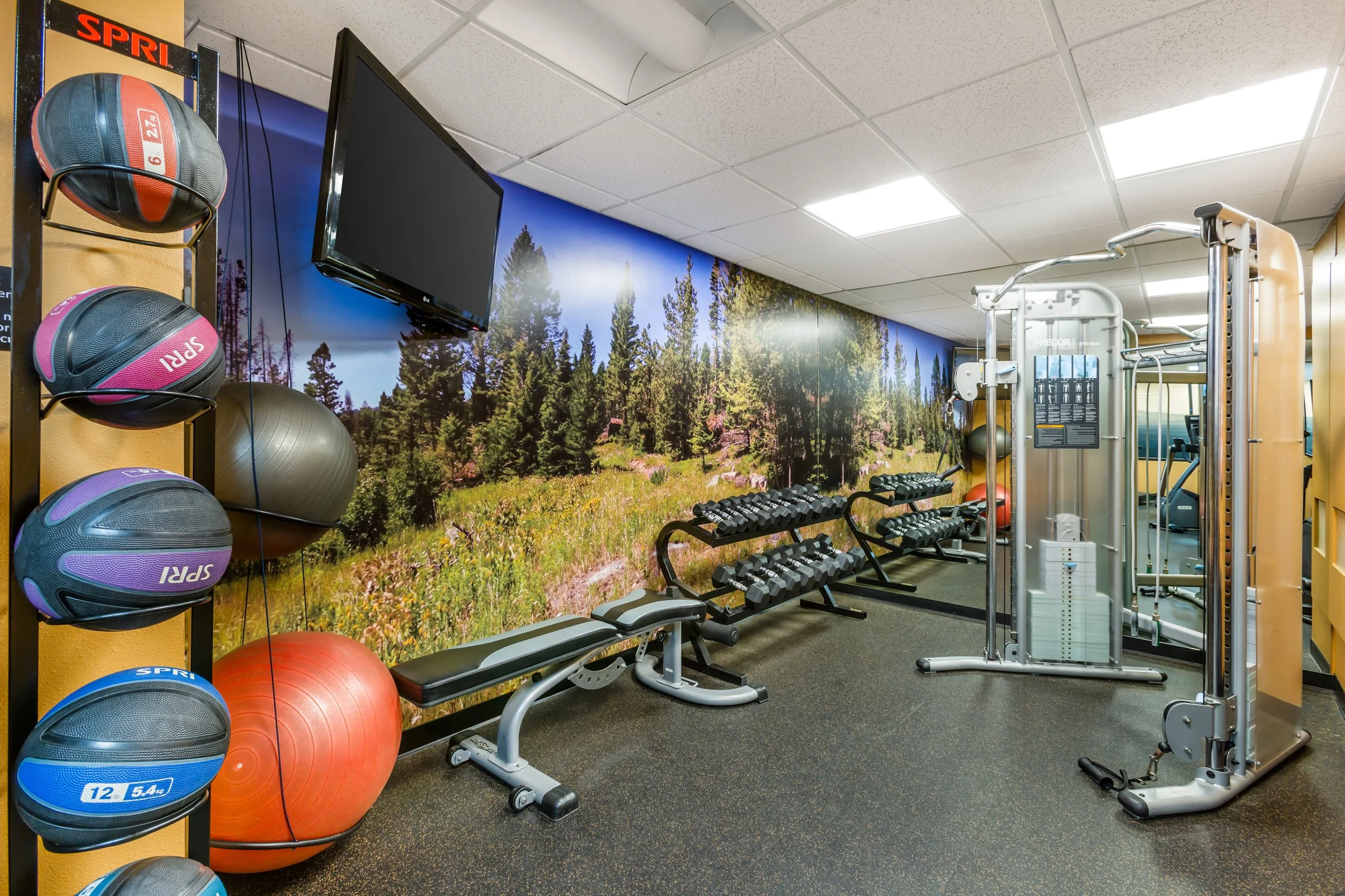 Fitness room with a nature mural wall, featuring various gym equipment including dumbbells, exercise balls, and a weight machine.