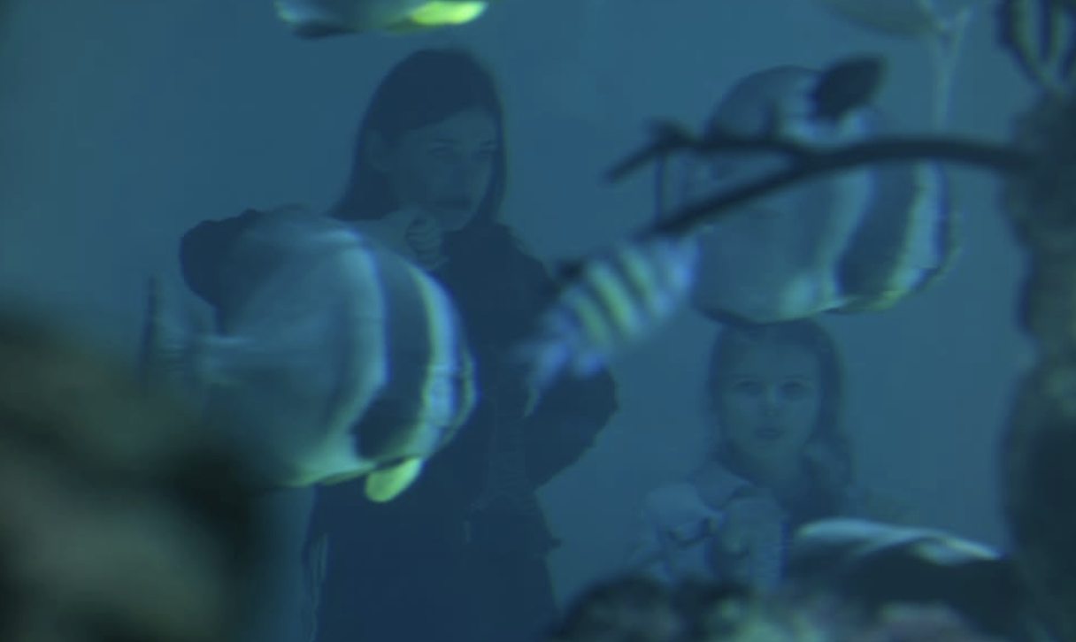 Two young girls are underwater at an aquarium or oceanarium, observing colorful fish swimming by.