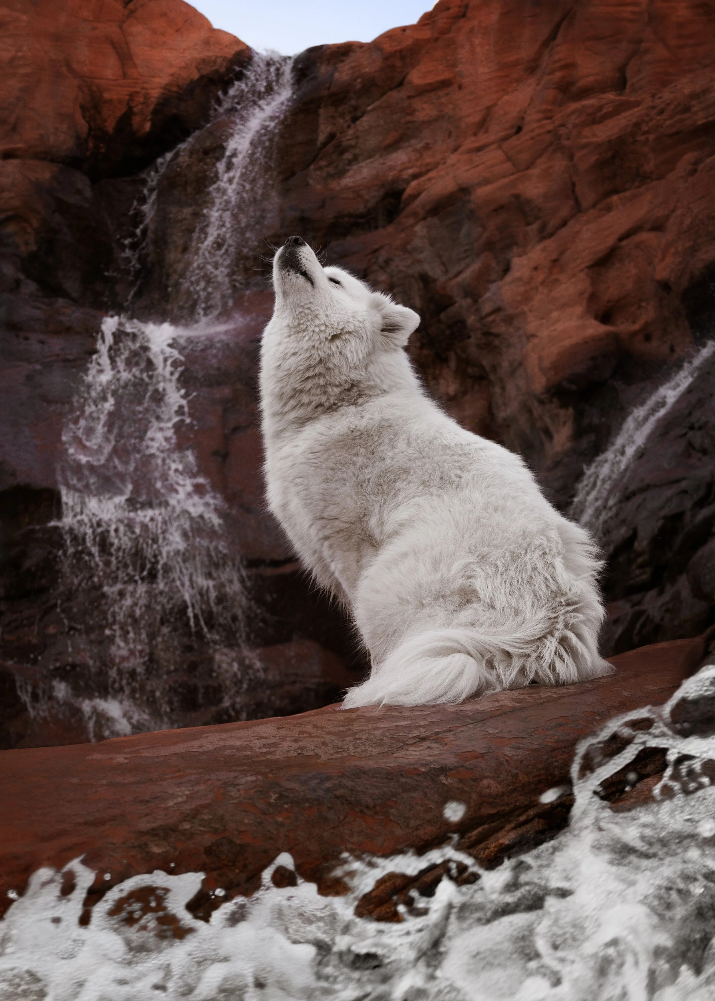Guncock Boreal Howling.jpg